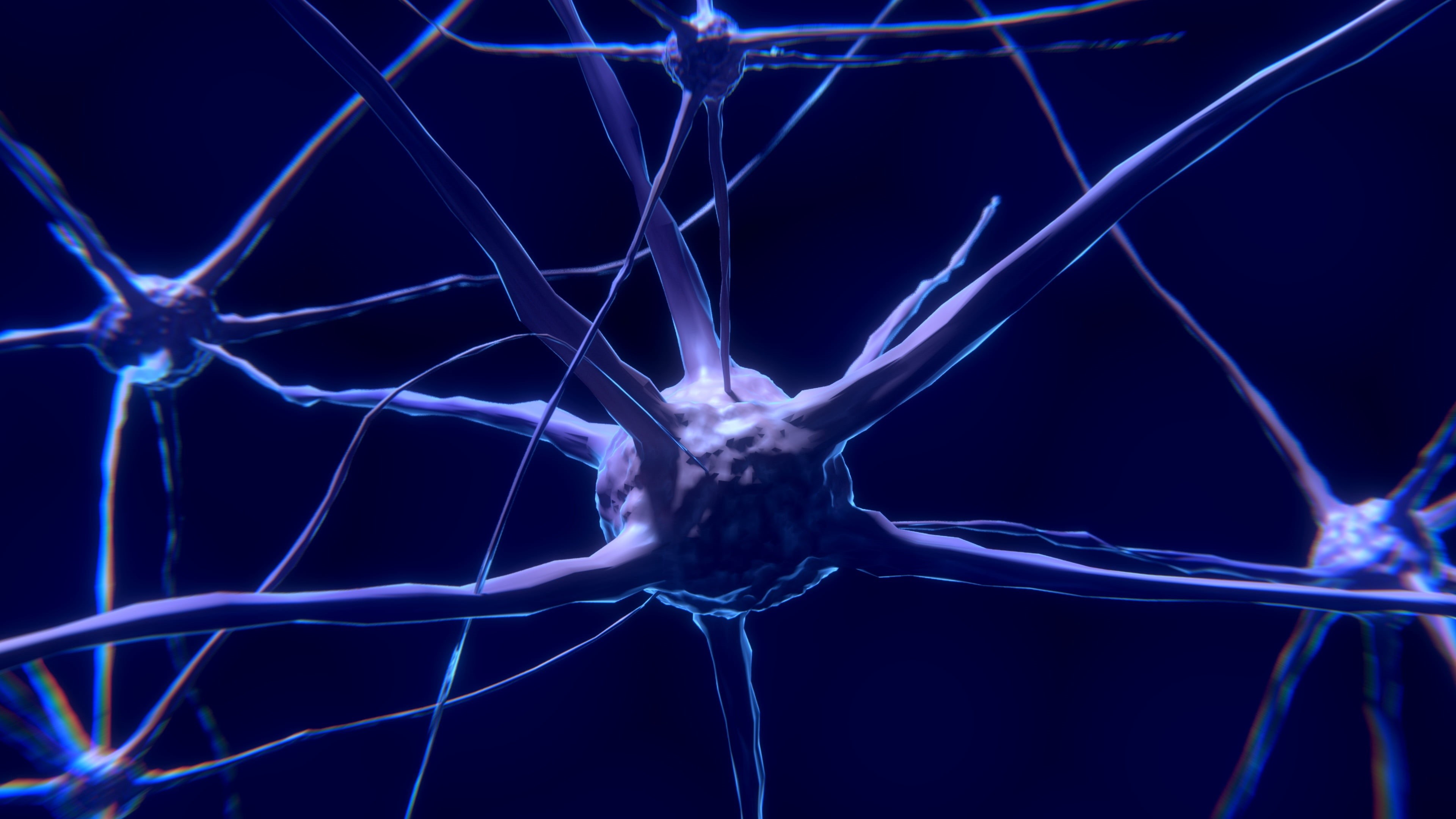 human Nervous System, one animal, indoors, nature, marine, neuron, technology, virus, sea, three Dimensional, illness, nerve, animal wildlife, nerve Cell, HD Wallpaper