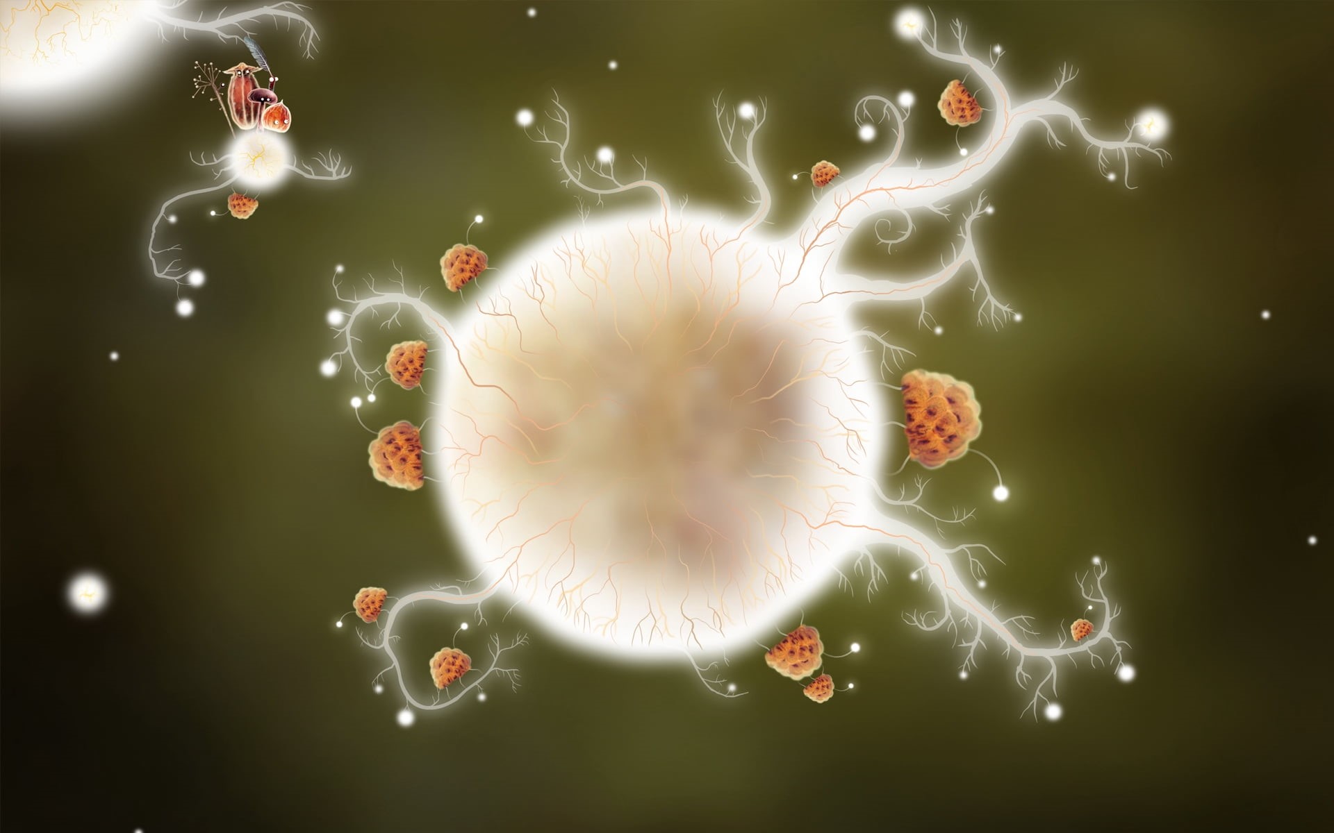 research, aIDS, parasitic, cancer - Illness, botanicula, pathogen, colon, fragility, close-up, molecule, genetic Research, tumor, sphere, macro, HD Wallpaper