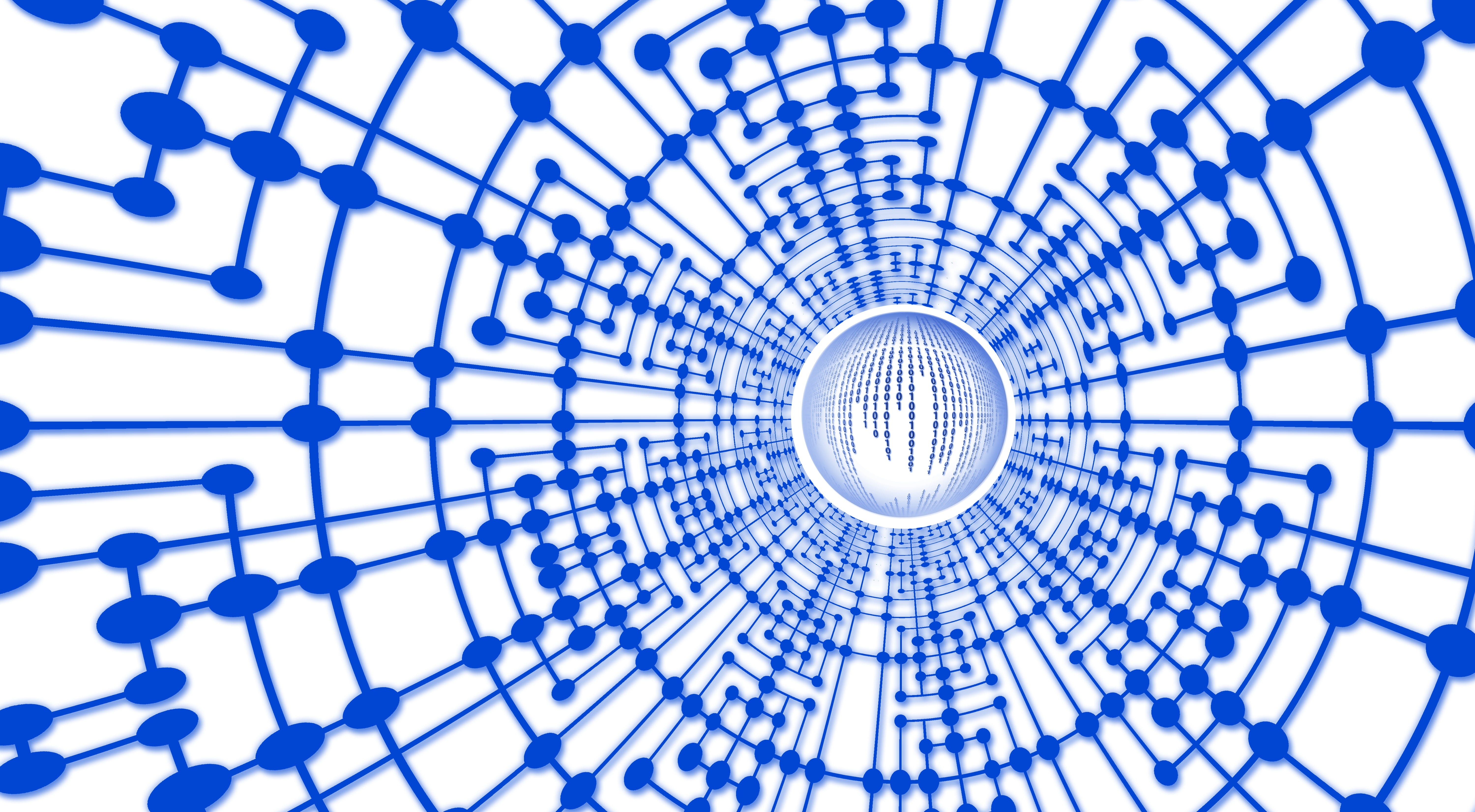 concentric, digital, one, word, abstract, internet, diminishing perspective, data volume, evaluate, geometric shape, office, binary system, programming, HD Wallpaper