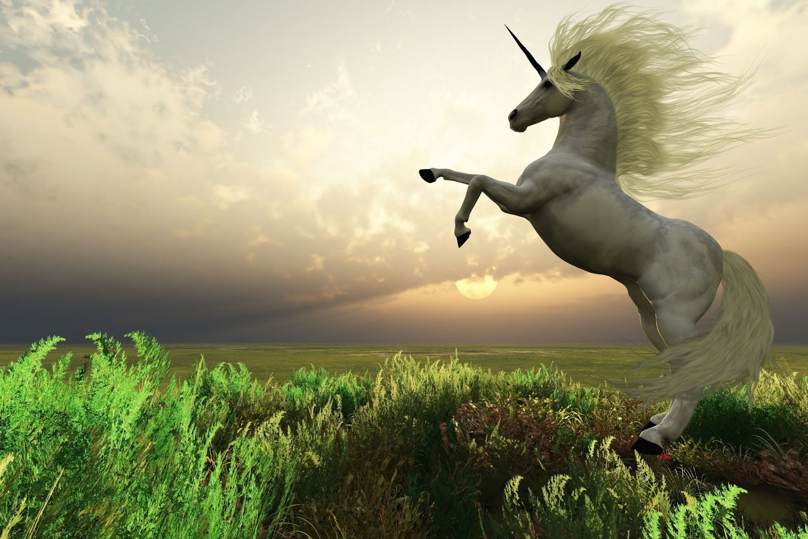 animales, 720P, unicornio-real, fantasia, mitos, mitologia, unicorn, cuentos, HD Wallpaper