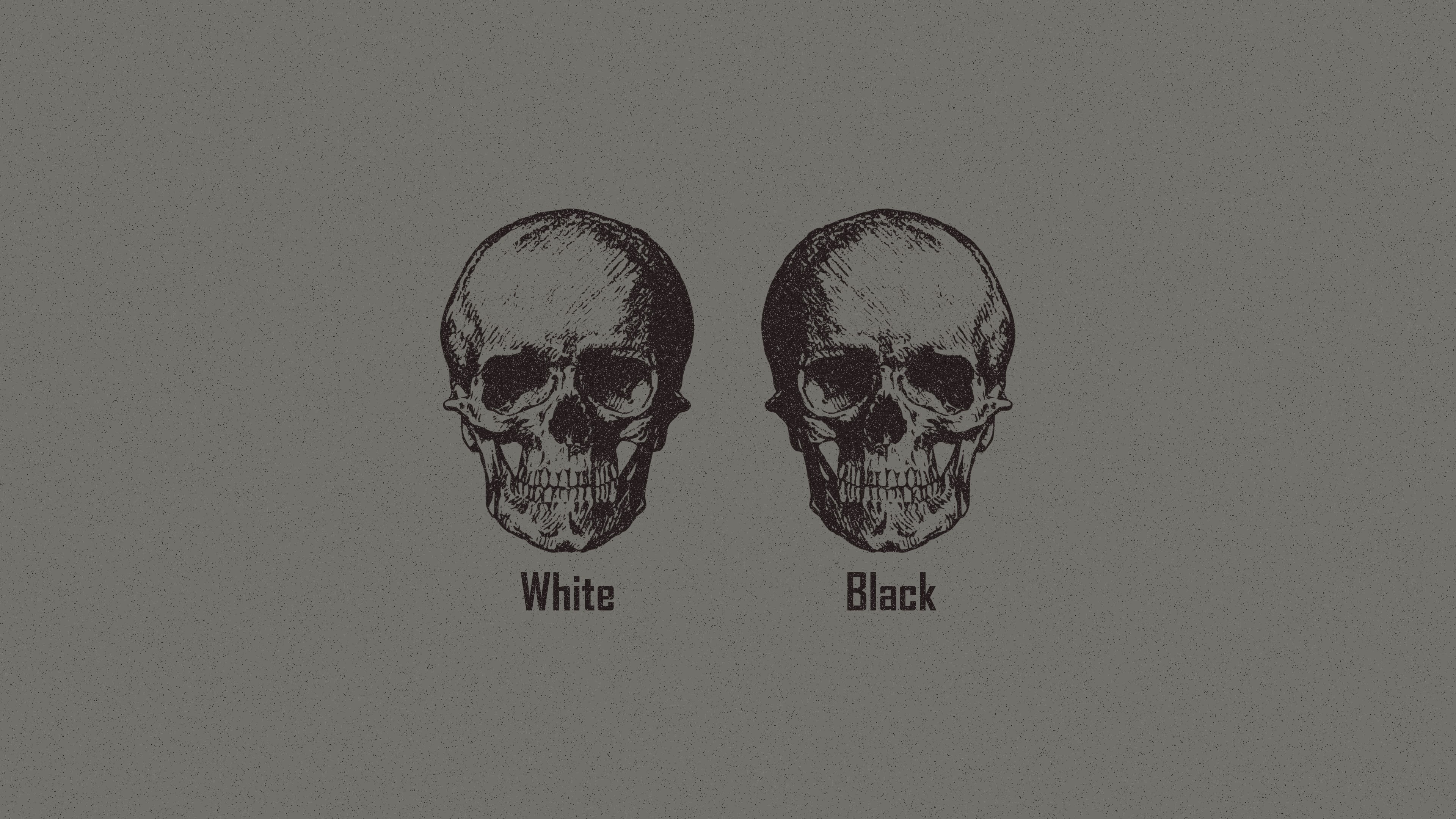 Racism, minimalism, monochrome, 4K, logic, skull, HD Wallpaper