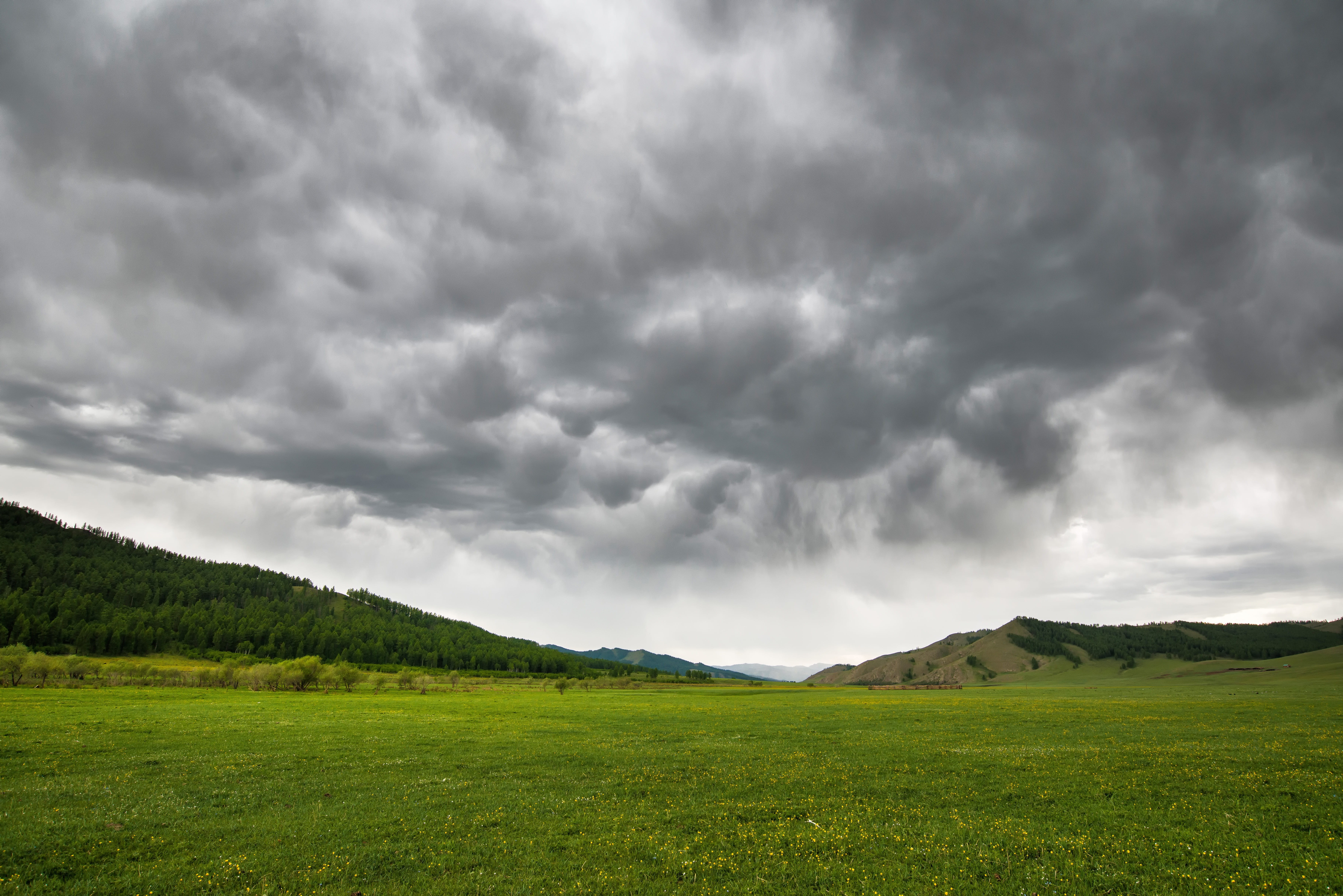 grass, dramatic sky, mongolia, storm, dark, beauty In Nature, ominous, june, landscapes, nature, cloud - Sky, scenics - nature, storm cloud, rain, hill, HD Wallpaper