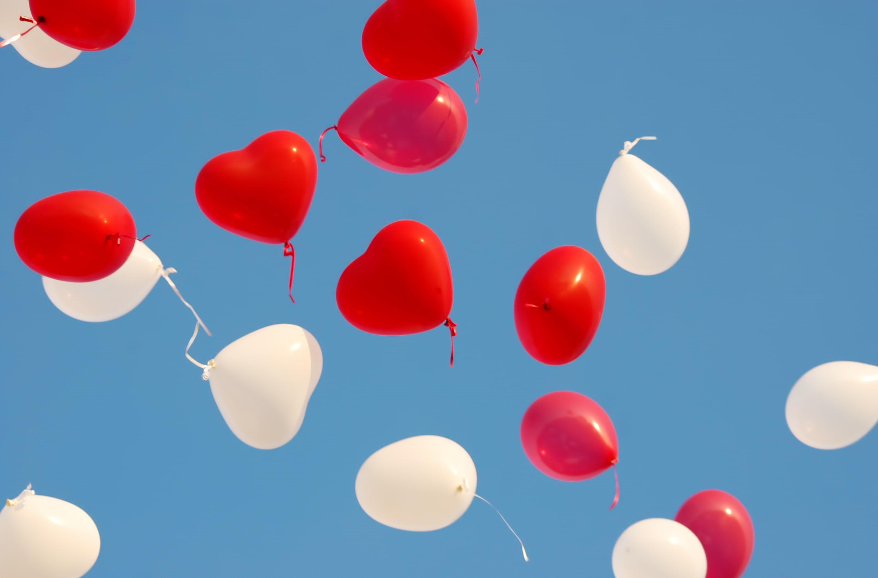 clear sky, helium balloon, low angle view, flying, vulnerability, multi colored, helium, 2K, celebration, sunlight, fragility, valentinesday, large group of objects, HD Wallpaper