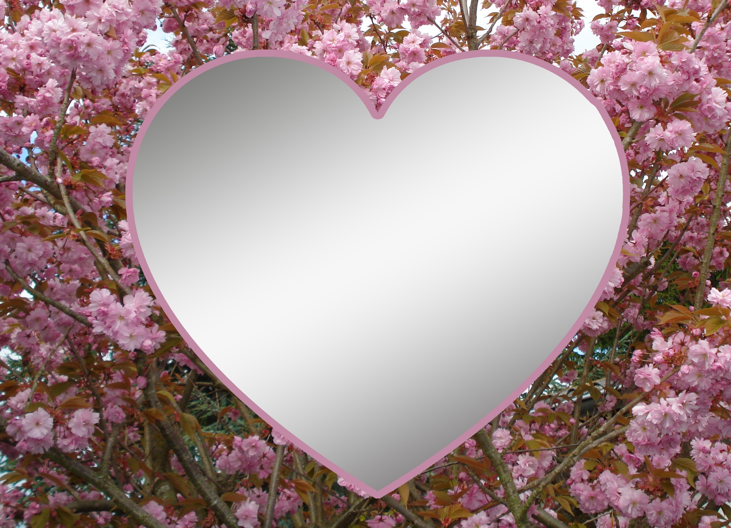 romance, tree, fragility, illustration, pink Color, greeting, pink, greeting card, 1080P, plant, backgrounds, day, postcard, emotion, abstract, loyalty, HD Wallpaper