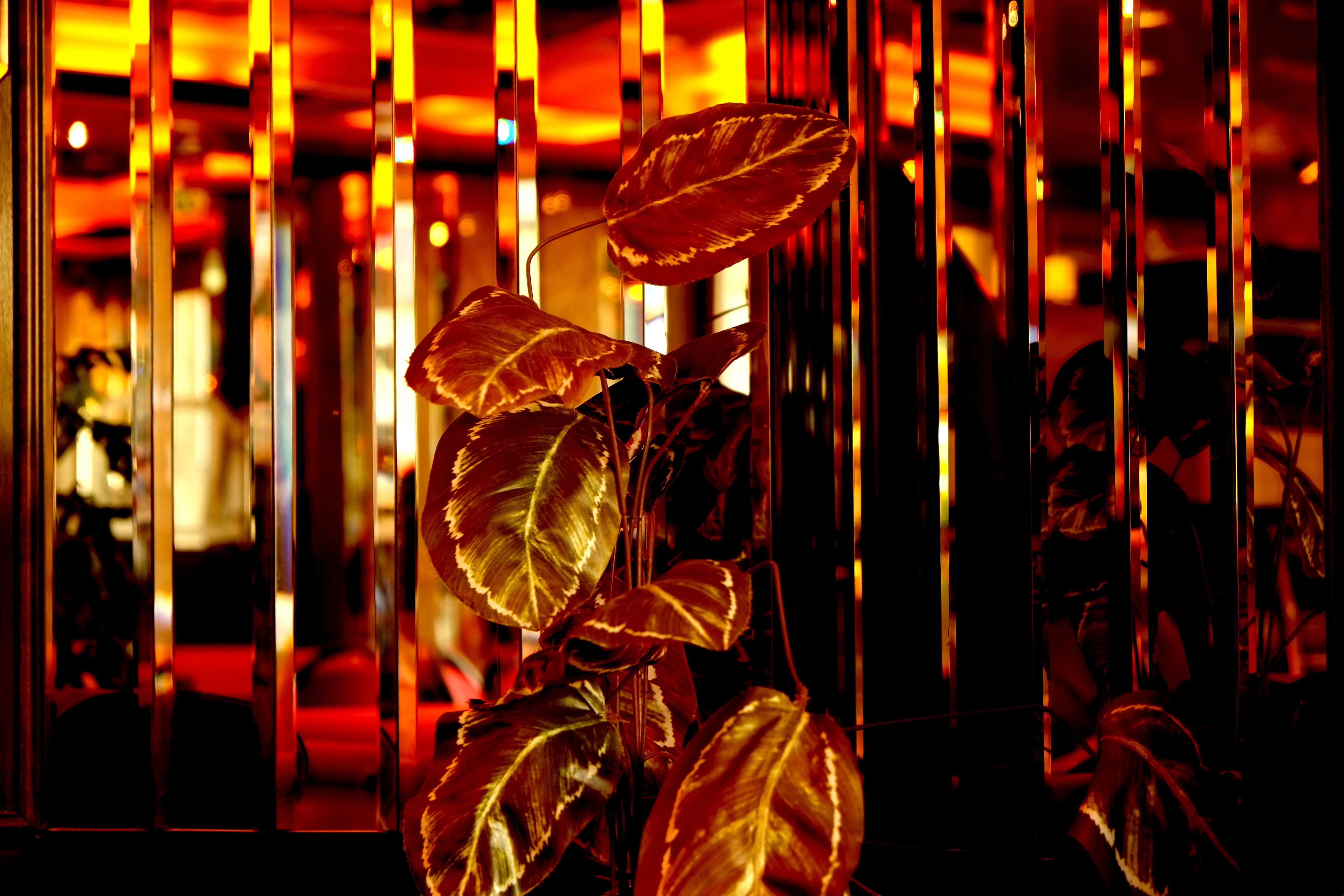 glass, colored, day, abstract, electricity, focus on foreground, mirror, selective focus, interior design, decor, retail, illuminated, choice, three dimensional, HD Wallpaper