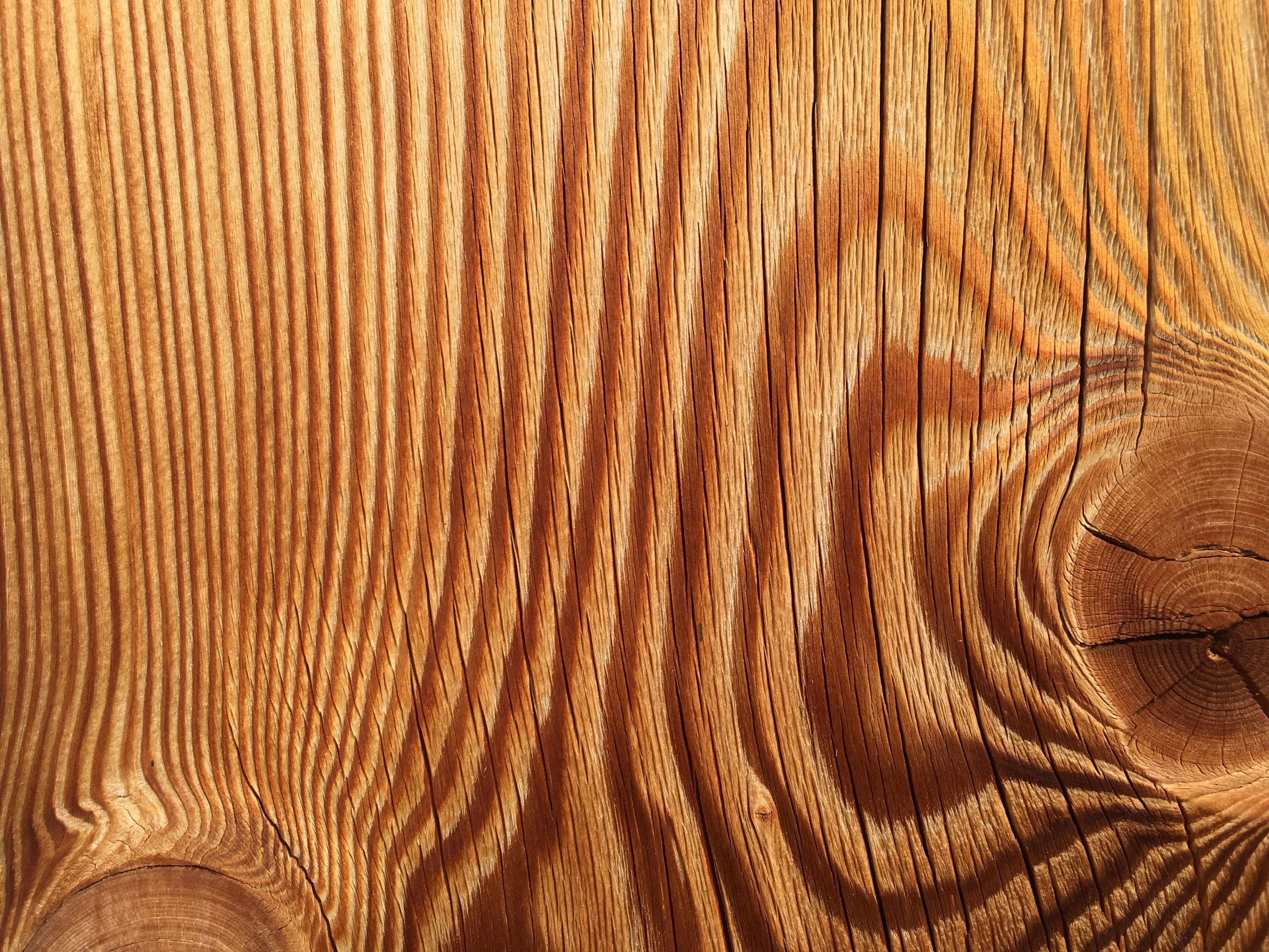 timber, tree, 4K, wood grain, texture, no people, textile, plank, wooden, day, board, close-up, textured effect, annual rings, full frame, wood, flooring, HD Wallpaper