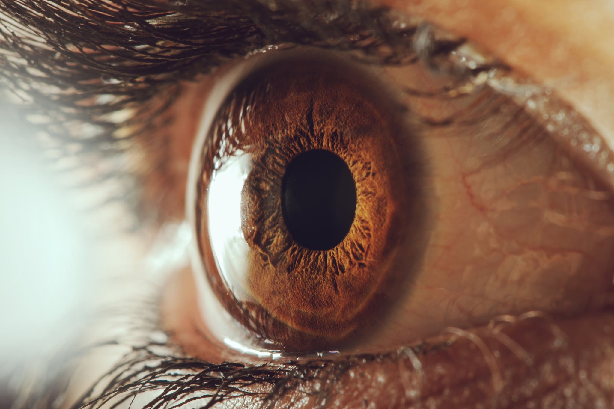adult, person, blue eyes, human eye, young adult, 1080P, looking at camera, human body part, looking, touch on, hazel eyes, eyeball, eyelashes, iris - eye, HD Wallpaper
