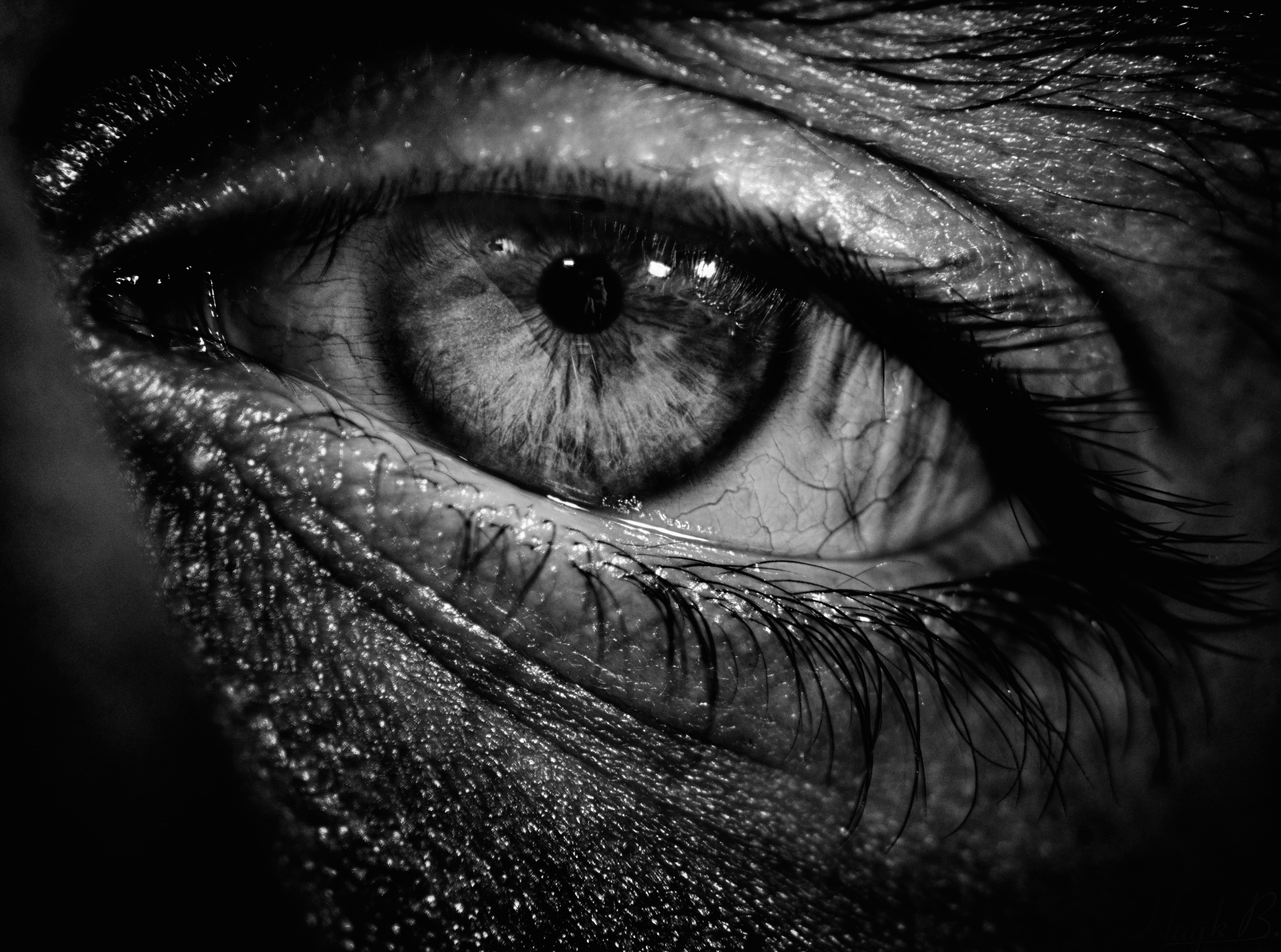Dark, extreme close-up, human eye, Macro, hamlet, looking at camera, human face, sensory perception, eyelash, one person, eye, human skin, eyesight, unrecognizable person, HD Wallpaper