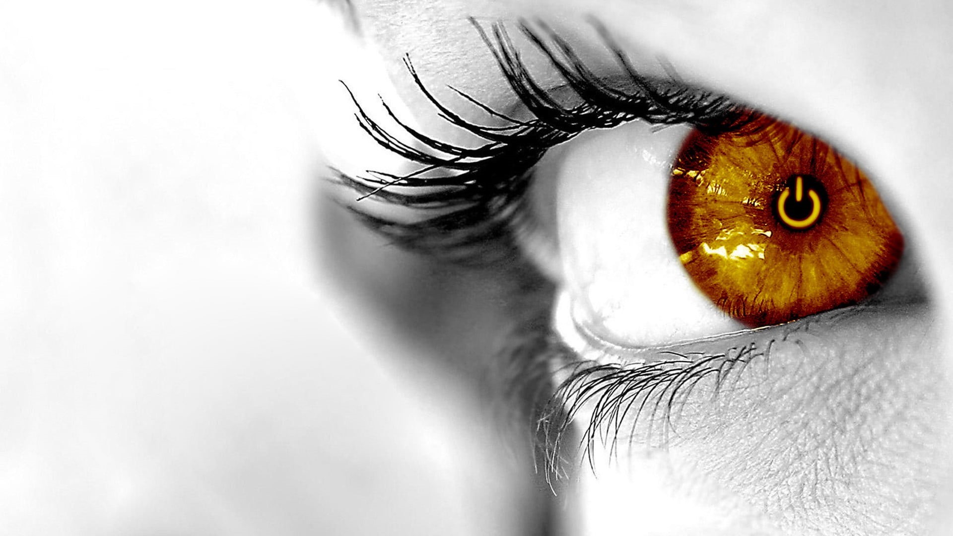 beautiful woman, extreme close-up, eyes, eyebrow, closeup, digital art, human body part, body part, selective coloring, beauty, eyesight, adult, close-up, HD Wallpaper