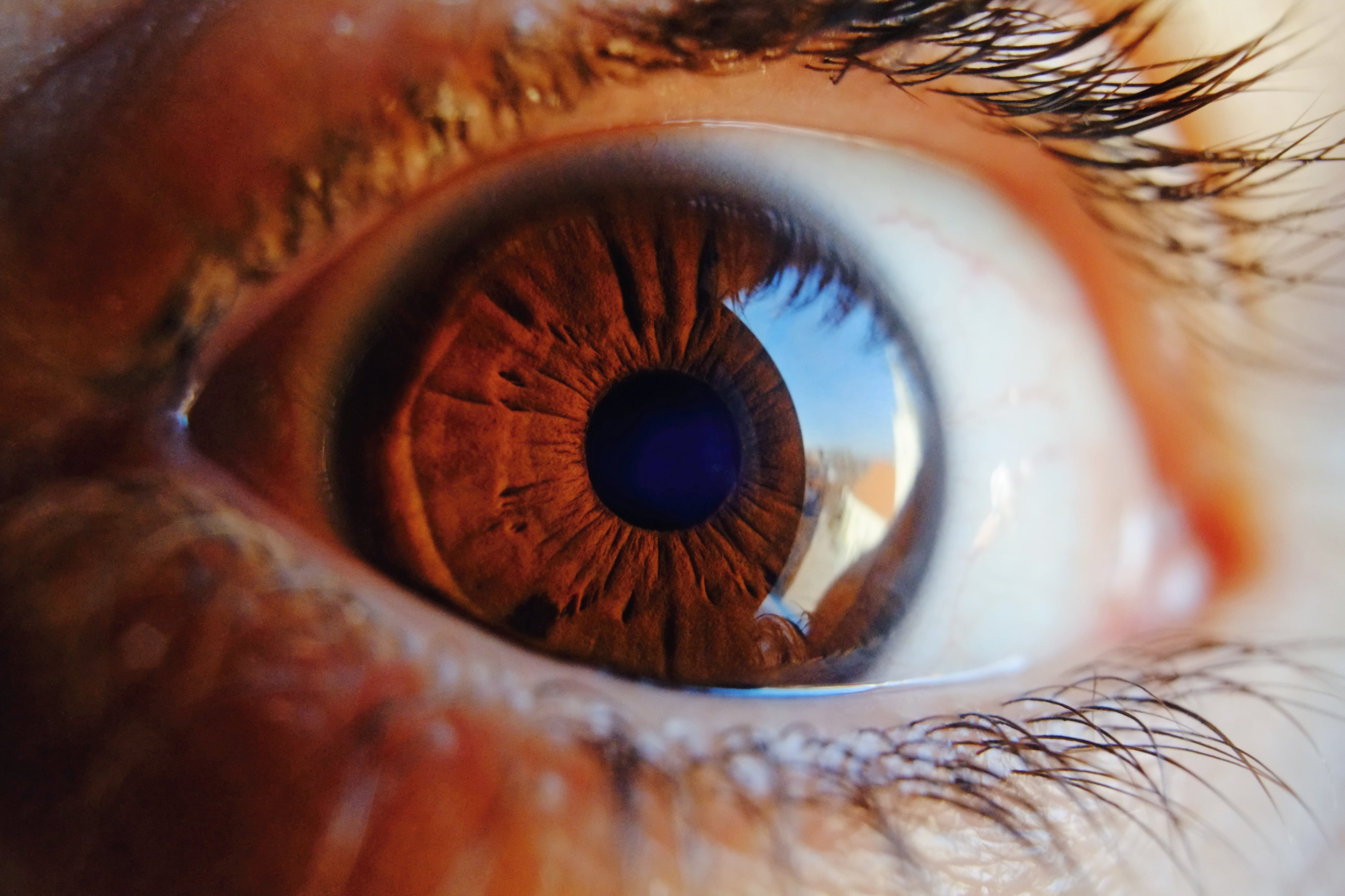 body part, human, portrait, vision, eyelid, human face, adult, sight, woman, contemplation, eyesight, pupil, reflection, extreme close-up, look, close-up, HD Wallpaper