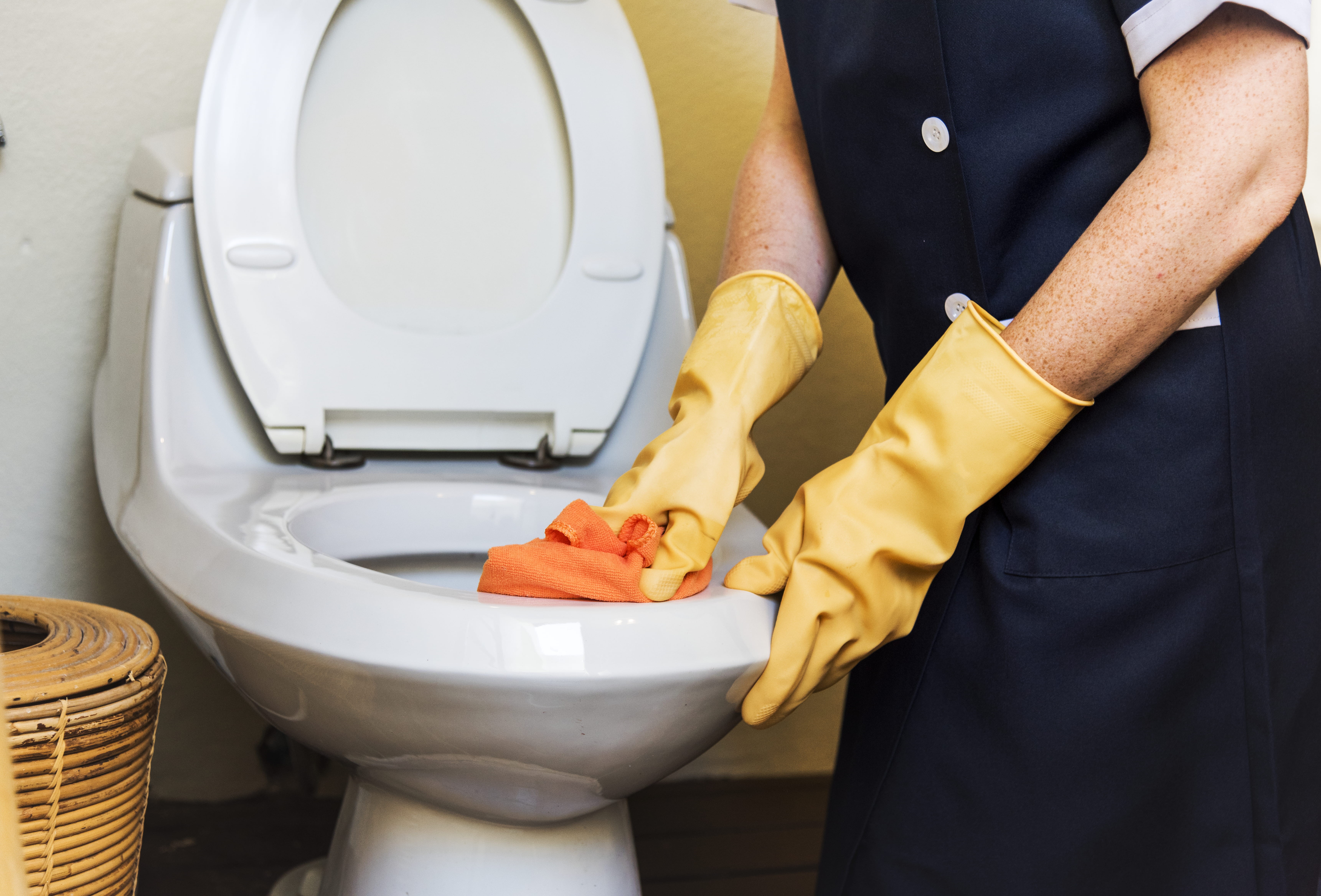 scrubbing, job, hand, housework, person, servant, chambermaid, adult, 5K, sanitary, hotel, container, indoors, room, standing, hands, working, toilet bowl, HD Wallpaper