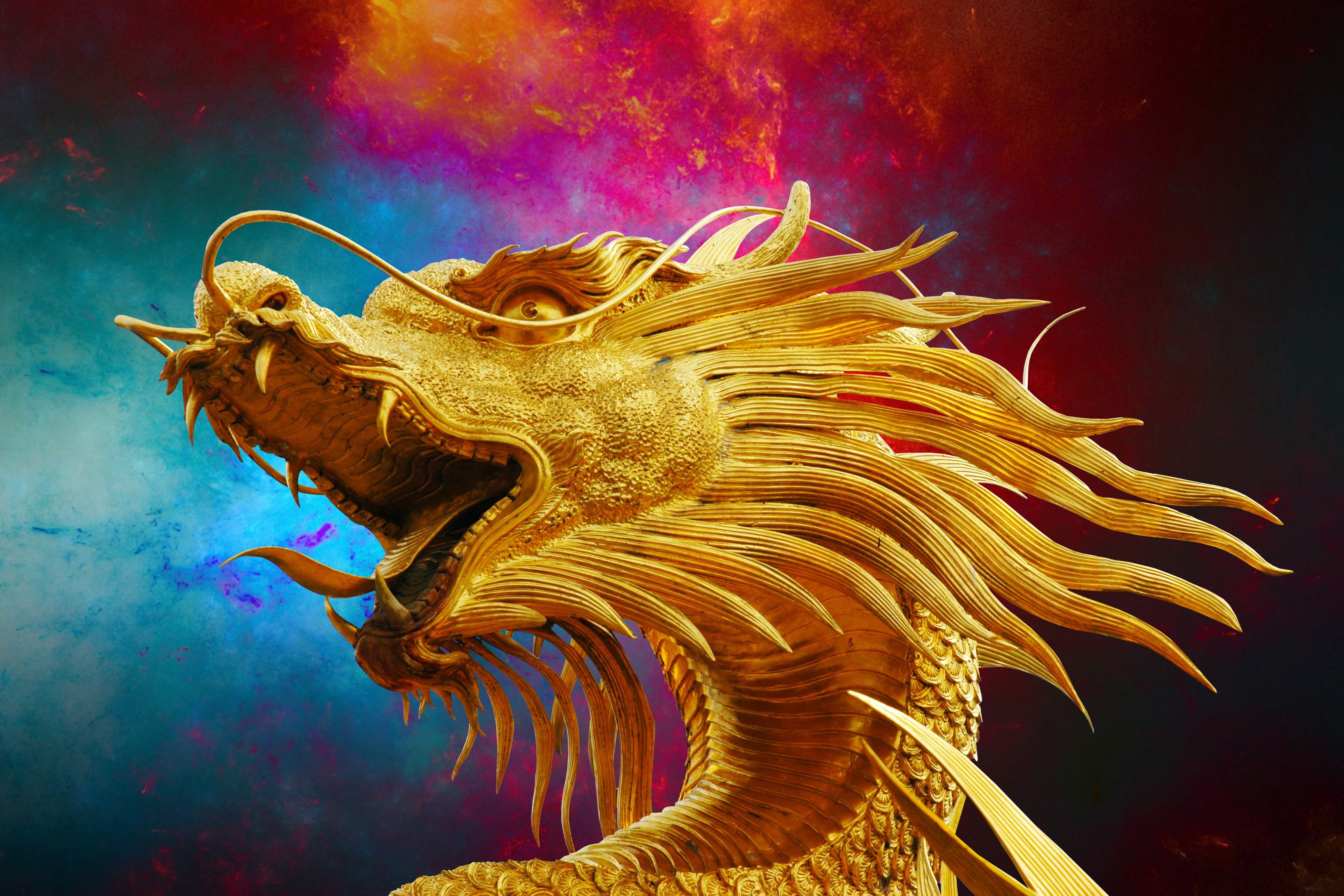 water, golden, marine, animal, various, illuminated, outdoors, animal wildlife, representation, dragon, no people, night, thailand, one animal, animal themes, HD Wallpaper