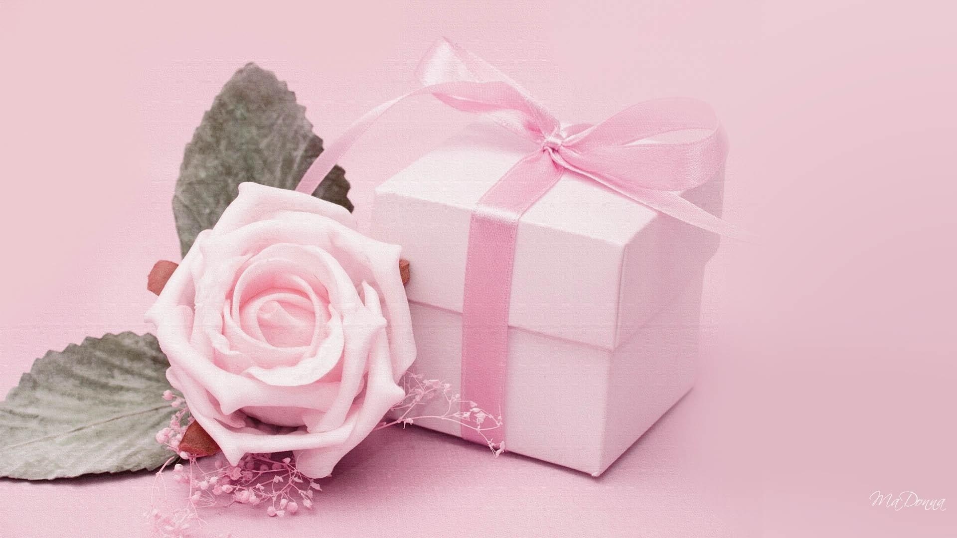 1080P, flower, box, beautiful, pink, ribbon, satin, rose, present, gift, chic, HD Wallpaper