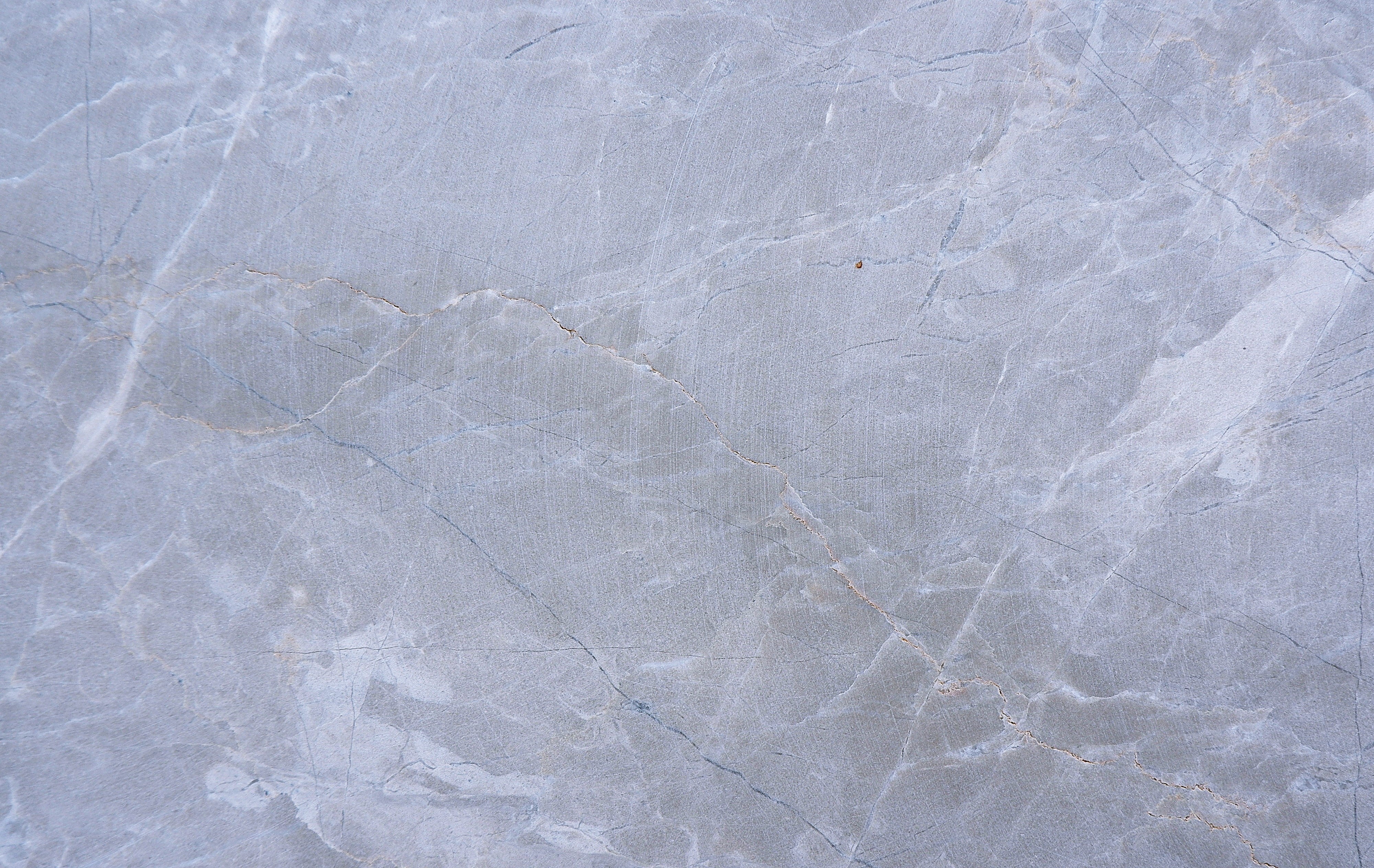 apparel, material, invertebrate, paper, 4K, clothing, granite, close-up, floor, paper towel, insect, solid, surface level, flooring, tissue, clean, marble, HD Wallpaper