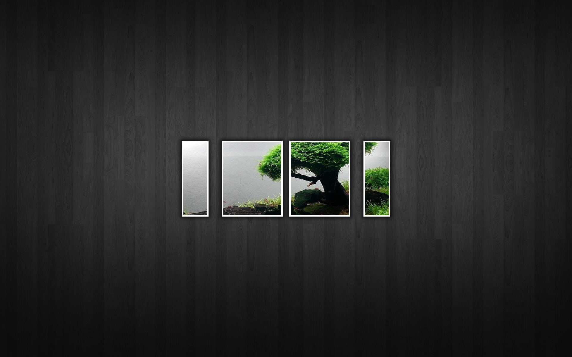 texture, dark, protection, digital art, trees, nature, collage, design, plant, silhouette, safety, green color, no people, glass - material, panel, shape, HD Wallpaper