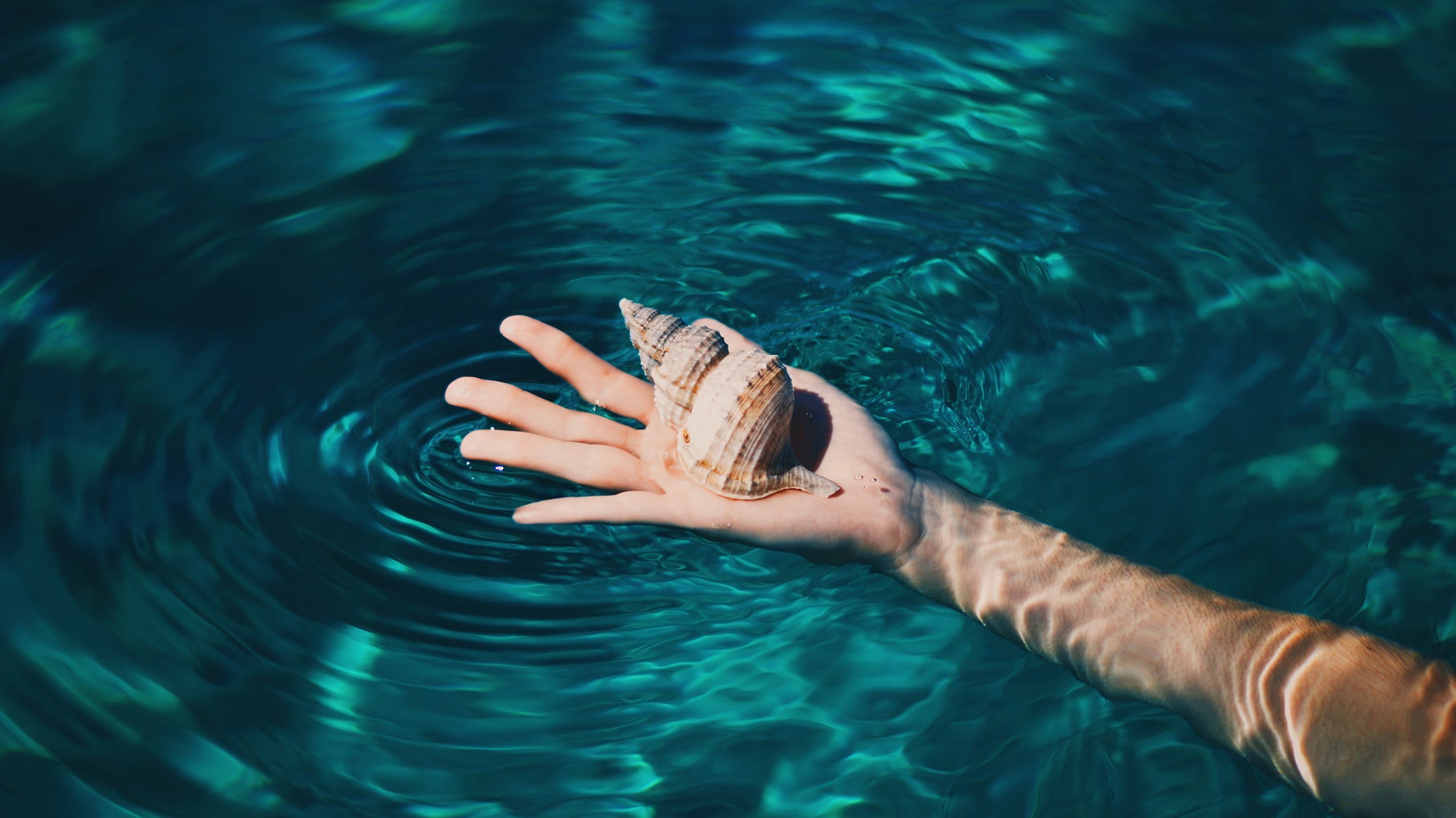 tropical, outdoors, real people, high angle view, swimming, waterfront, one person, human hand, lifestyles, pool, nature, day, body part, clear water, brown, HD Wallpaper