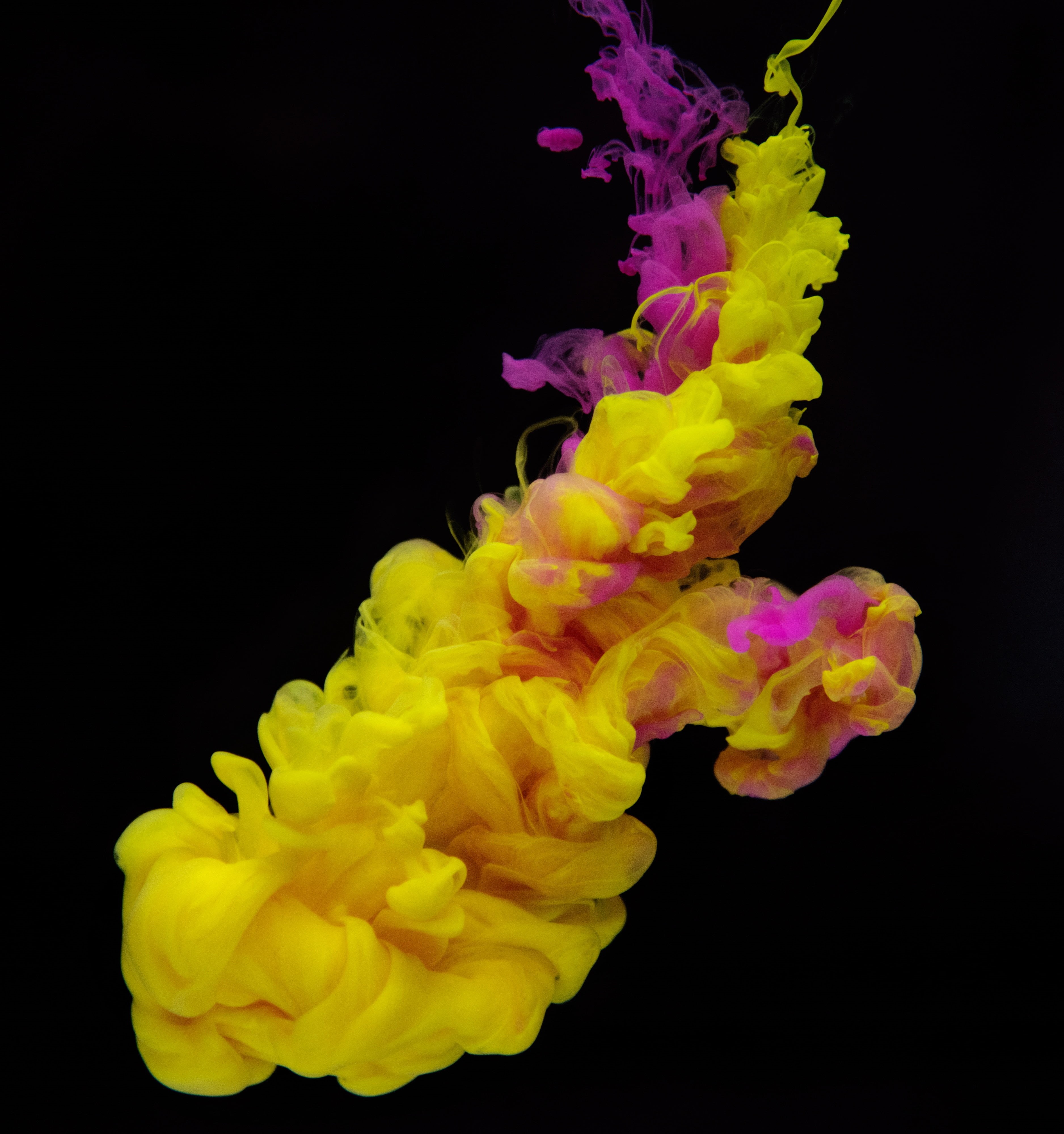 flowing, black background, water, cut out, liquid, mixing, close-up, purple, floating on water, smoke, nature, abstract, motion, clot, fanned out, splashing, Phone HD Wallpaper