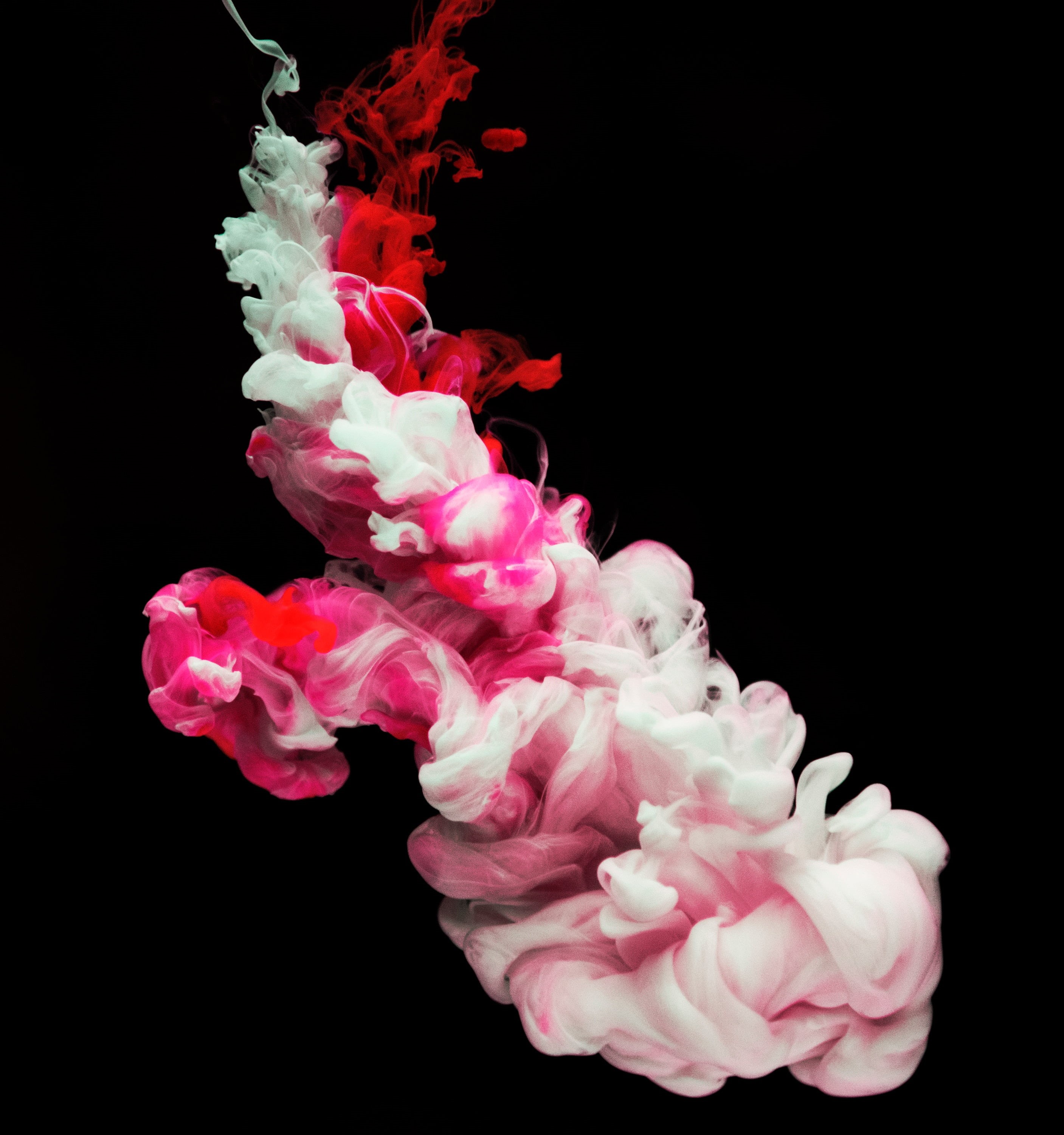 2K, watercolor, flower, close-up, indoors, nature, liquid, flowing, cut out, ink, clots, abstract, no people, motion, beauty in nature, white, studio shot, Phone HD Wallpaper