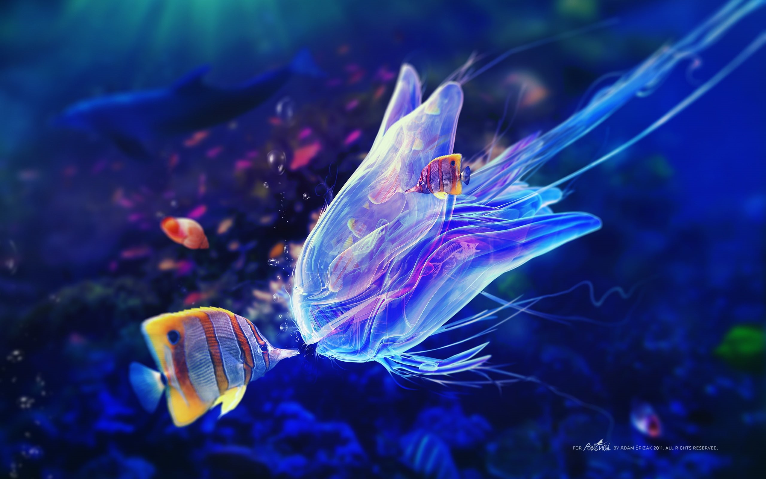 Clown, World, 2K, Jellyfish, Underwater, Fish, HD Wallpaper
