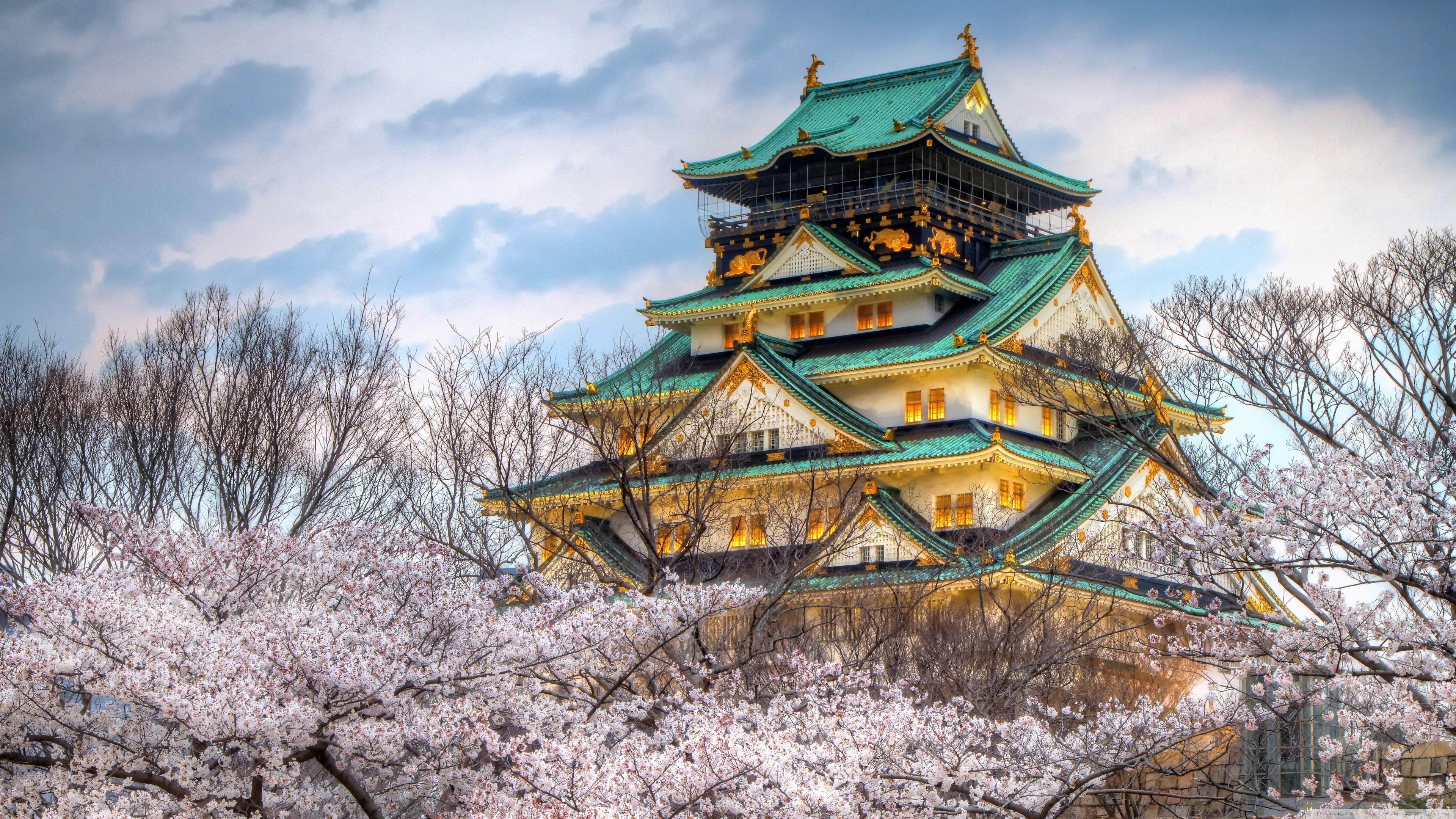 trees, osaka castle, sky, japanese castle, japan, osaka, spring, japanese, 4K, castle, HD Wallpaper
