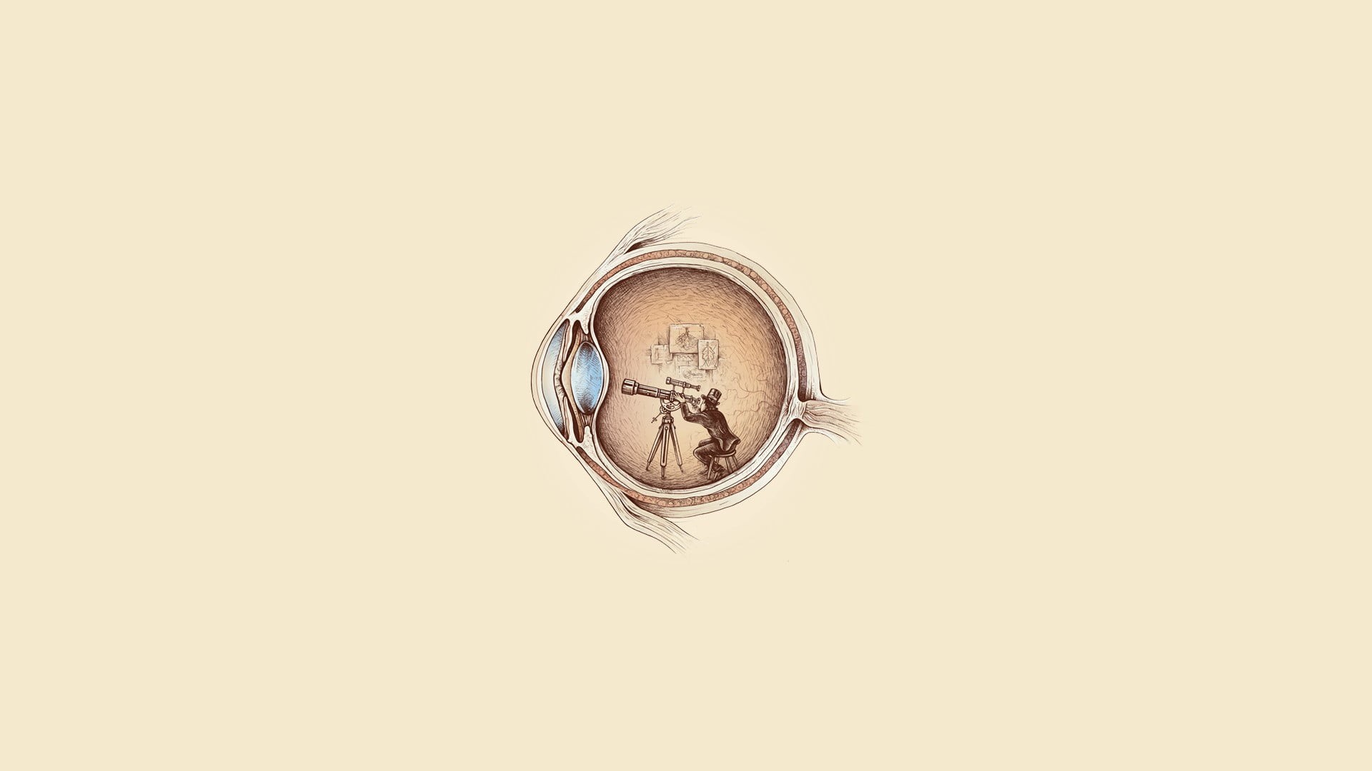 minimalism, container, time, no people, cut out, clock, studio shot, directly above, shape, copy space, human, eyes, close-up, indoors, painting, brown, HD Wallpaper