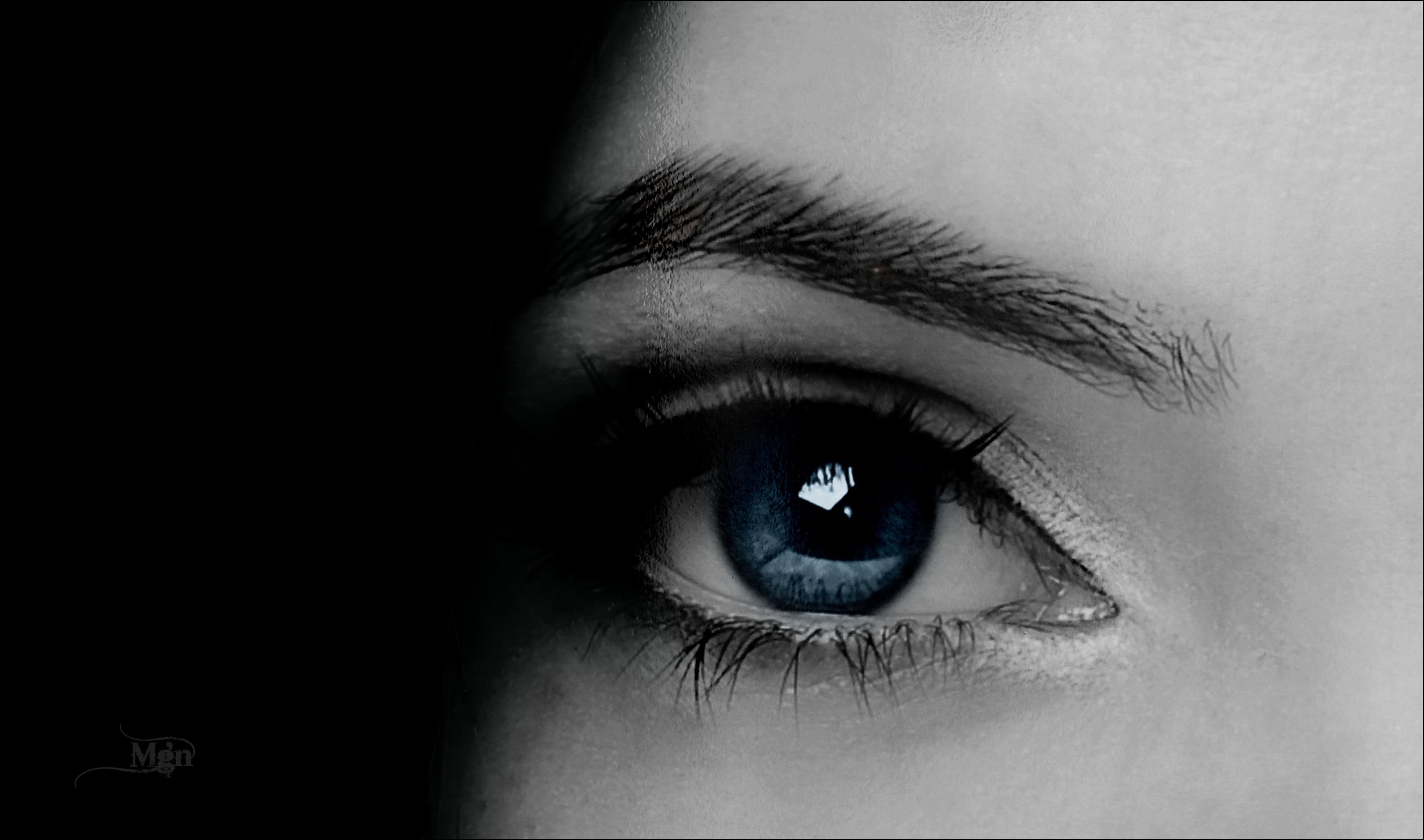 beautiful, macro, people, white, black Color, watching you, eyelash, close-up, photo, 2K, human Face, I am, beauty, eyeball, human Eye, women, black and white, HD Wallpaper