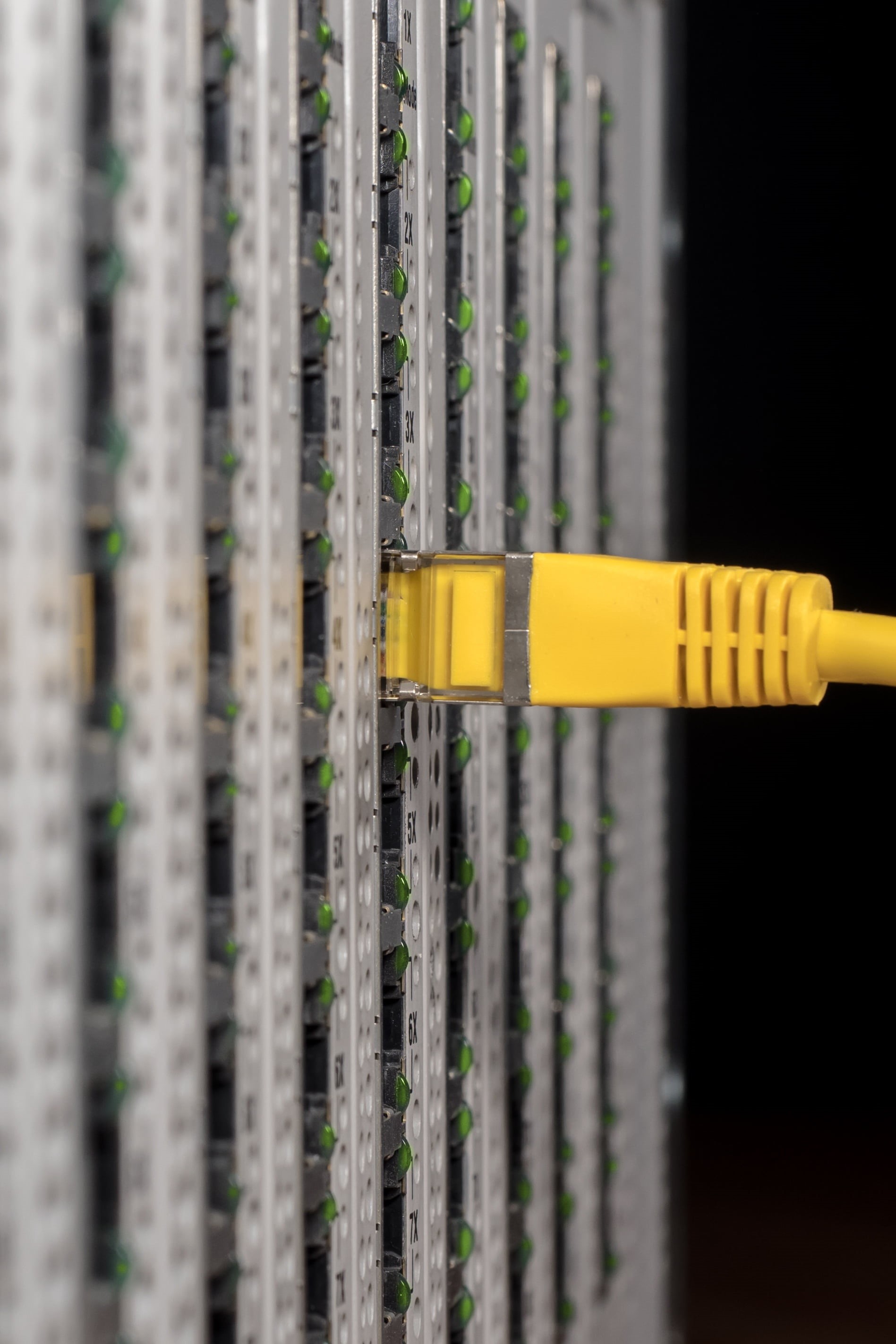 electricity, selective focus, it, rj45, close-up, technology, electrical, computer, connection, no people, router, tapping, edp, nsa, wireless technology, Phone HD Wallpaper