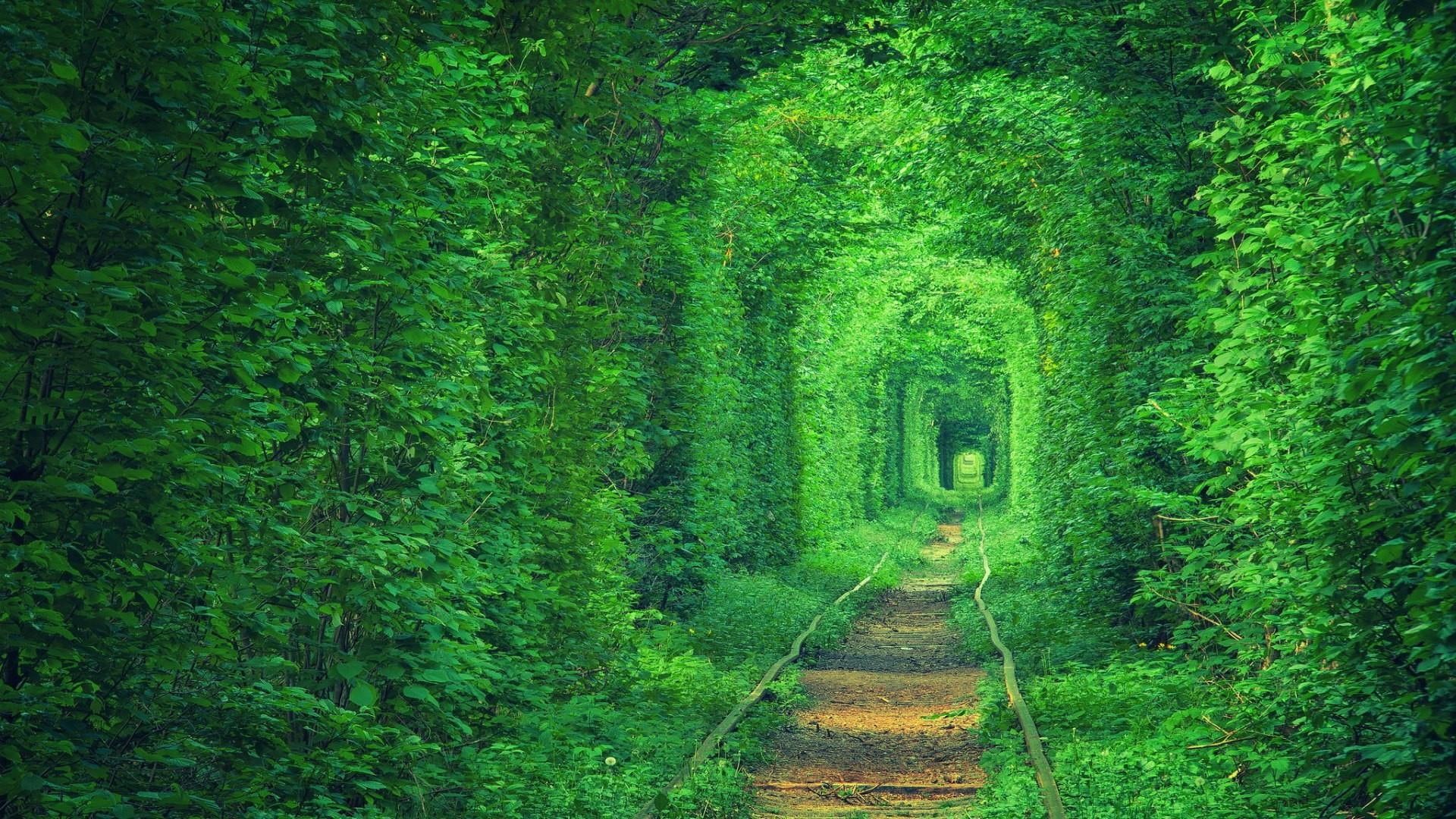 1080P, tree, track, railway, green, railroad, train track, nature, forest, tunnel, ukraine, tunnel view, klevan, tunnel of love, tunel kokhannya, europe, HD Wallpaper