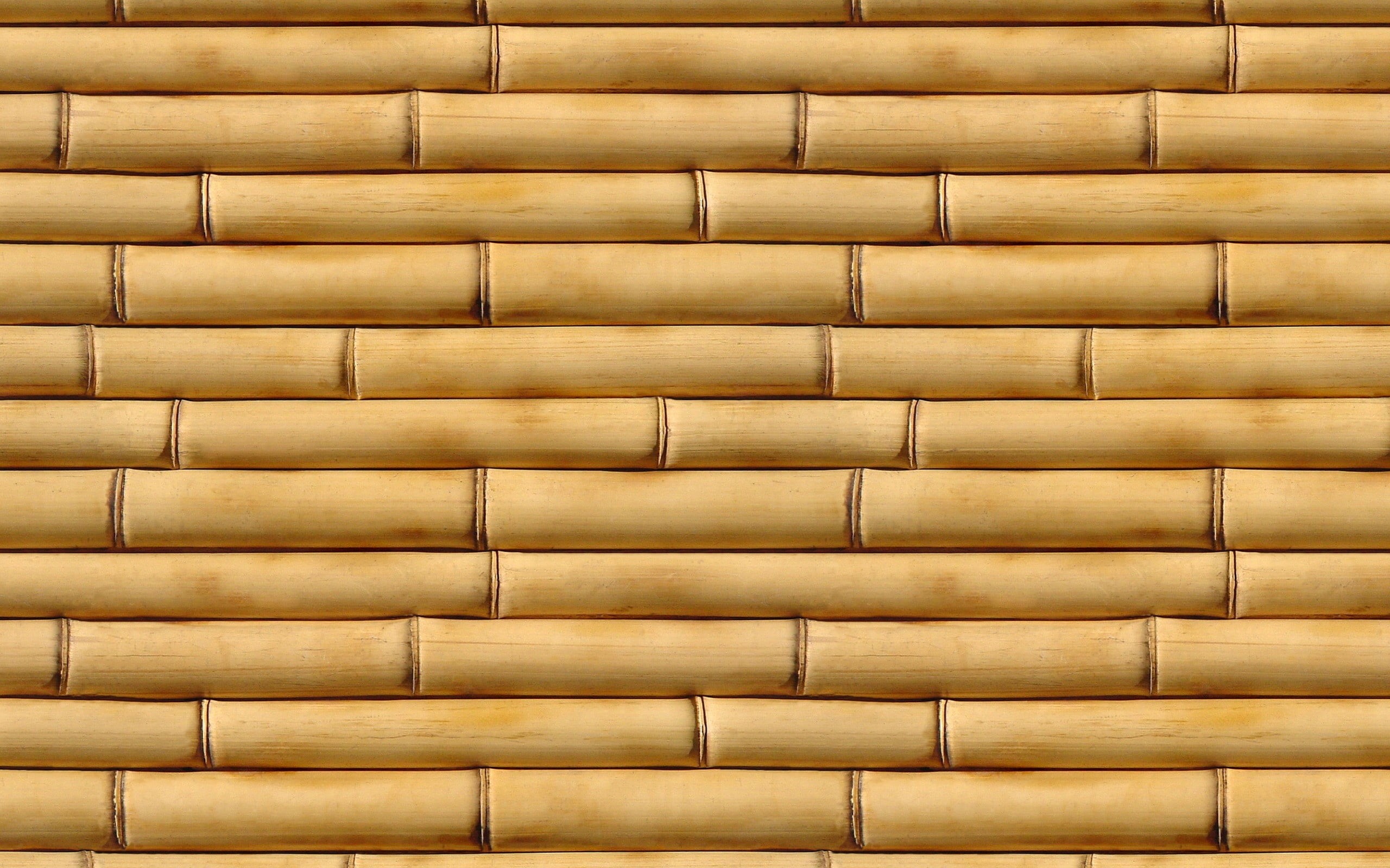 abstract, close-up, textured Effect, nature, large group of objects, vertical, surface Level, decor, built Structure, in a row, container, old, repetition, HD Wallpaper