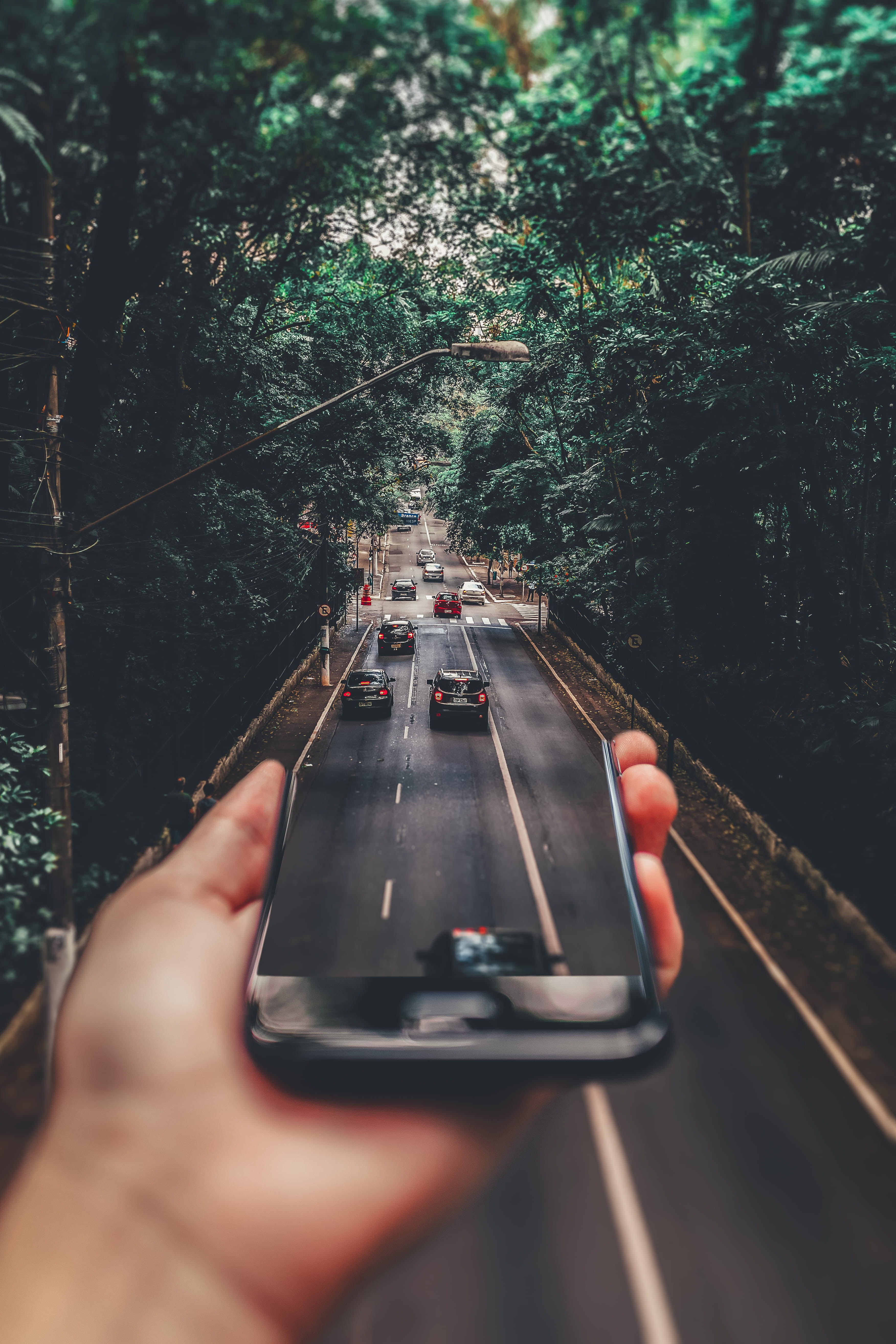 real people, unrecognizable person, green, holding, traffic, road, phone, nature, travel, personal perspective, tree, 5K, lifestyles, forest, human hand, Phone HD Wallpaper