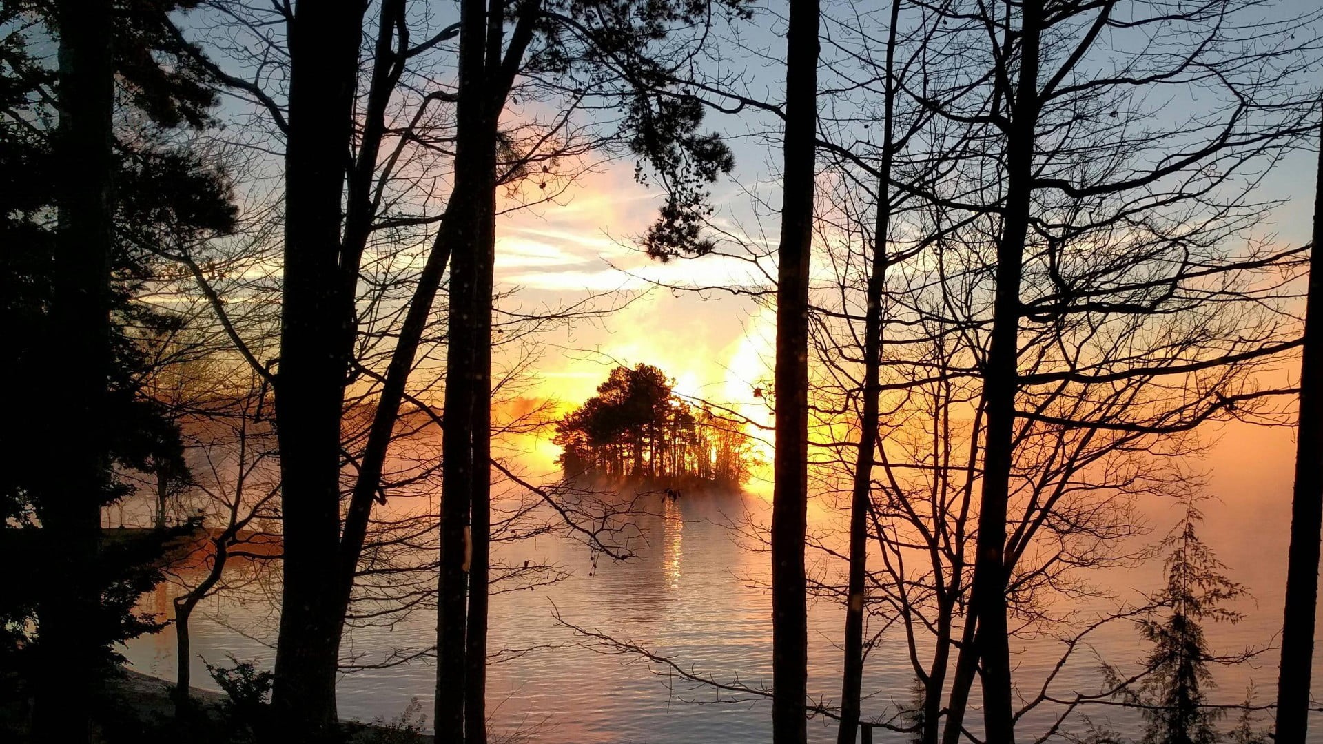 water, tree trunk, tranquil scene, 1080P, no people, South Carolina, layer, outdoors, Lake Keowee, forest, idyllic, trunk, tree, island, sunset, black, HD Wallpaper