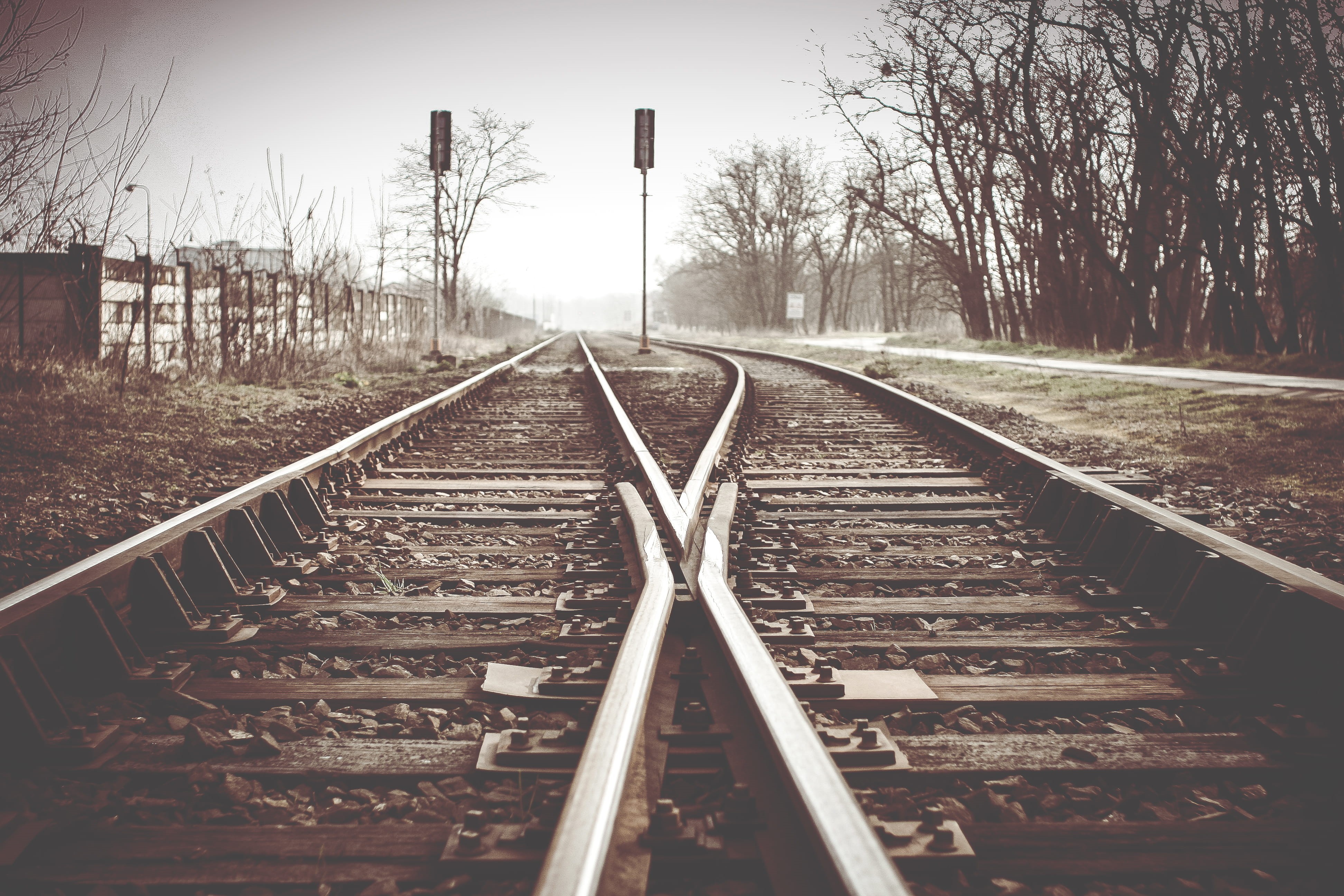 bare tree, outdoors, the way forward, no People, transportation, day, travel, track, direction, steel, tree, long, train, plant, land, journey, metal, mode of transportation, HD Wallpaper