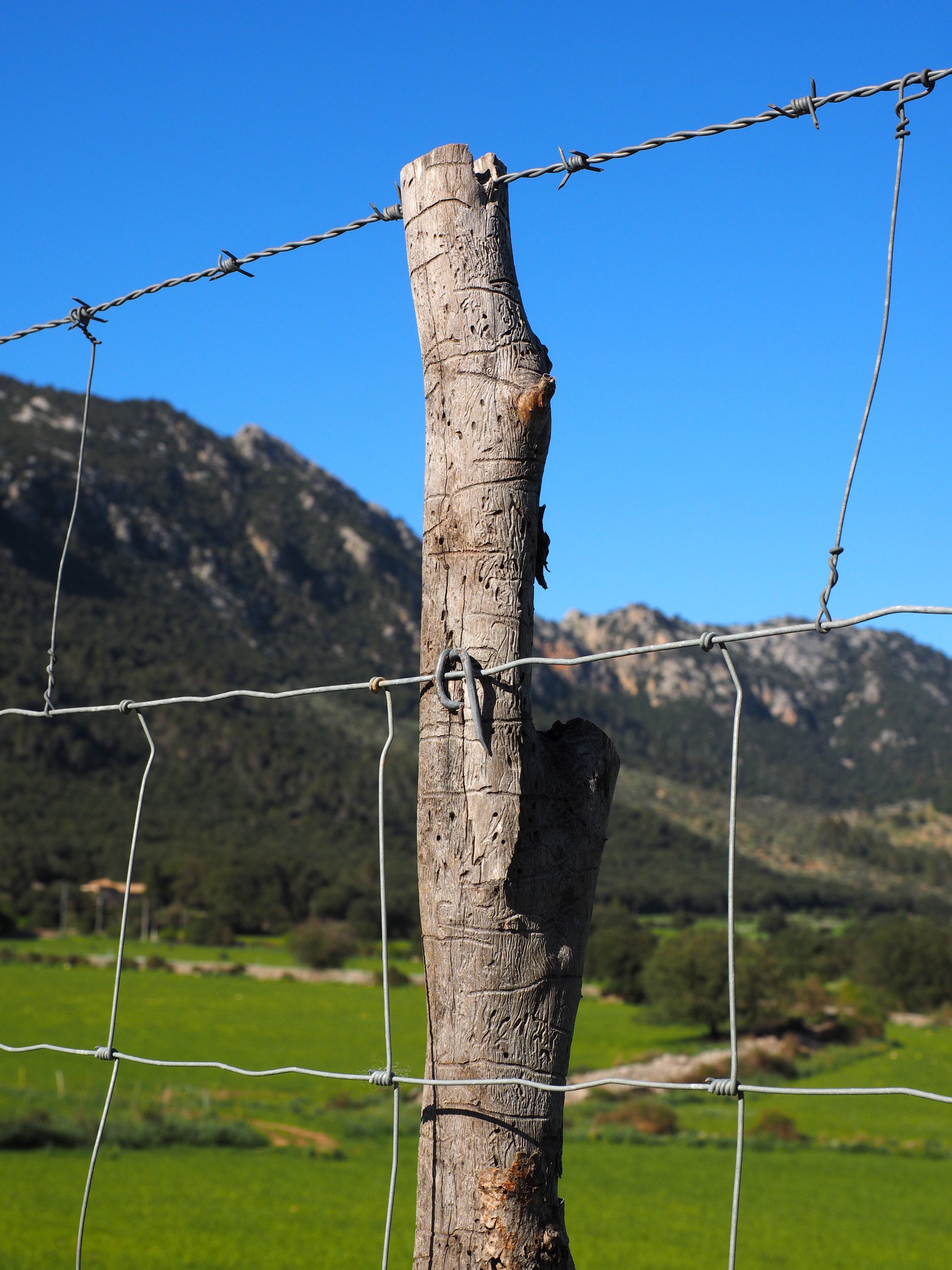 fenced, defense, barrier, demarcation, wildzaun, knotted mesh, pasture fence, mountain, sheep fence, nature, limit, safety, wildgatter, hanging, focus on foreground, Phone HD Wallpaper