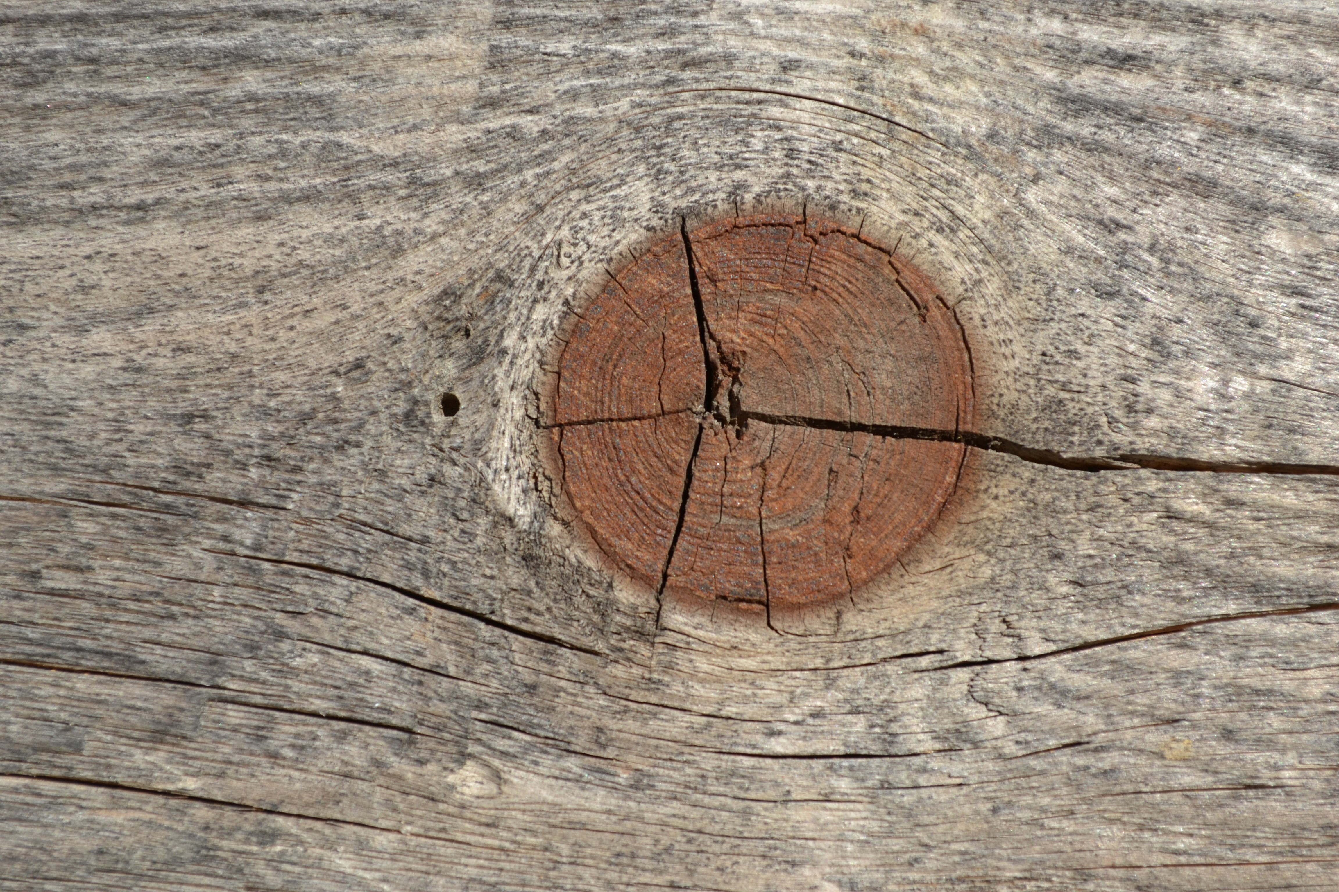 wood - material, node, pattern, no people, textured, bark, tree stump, full frame, shape, brown, tree, wood, outdoors, day, 4K, crack, nature, rough, cracked, HD Wallpaper
