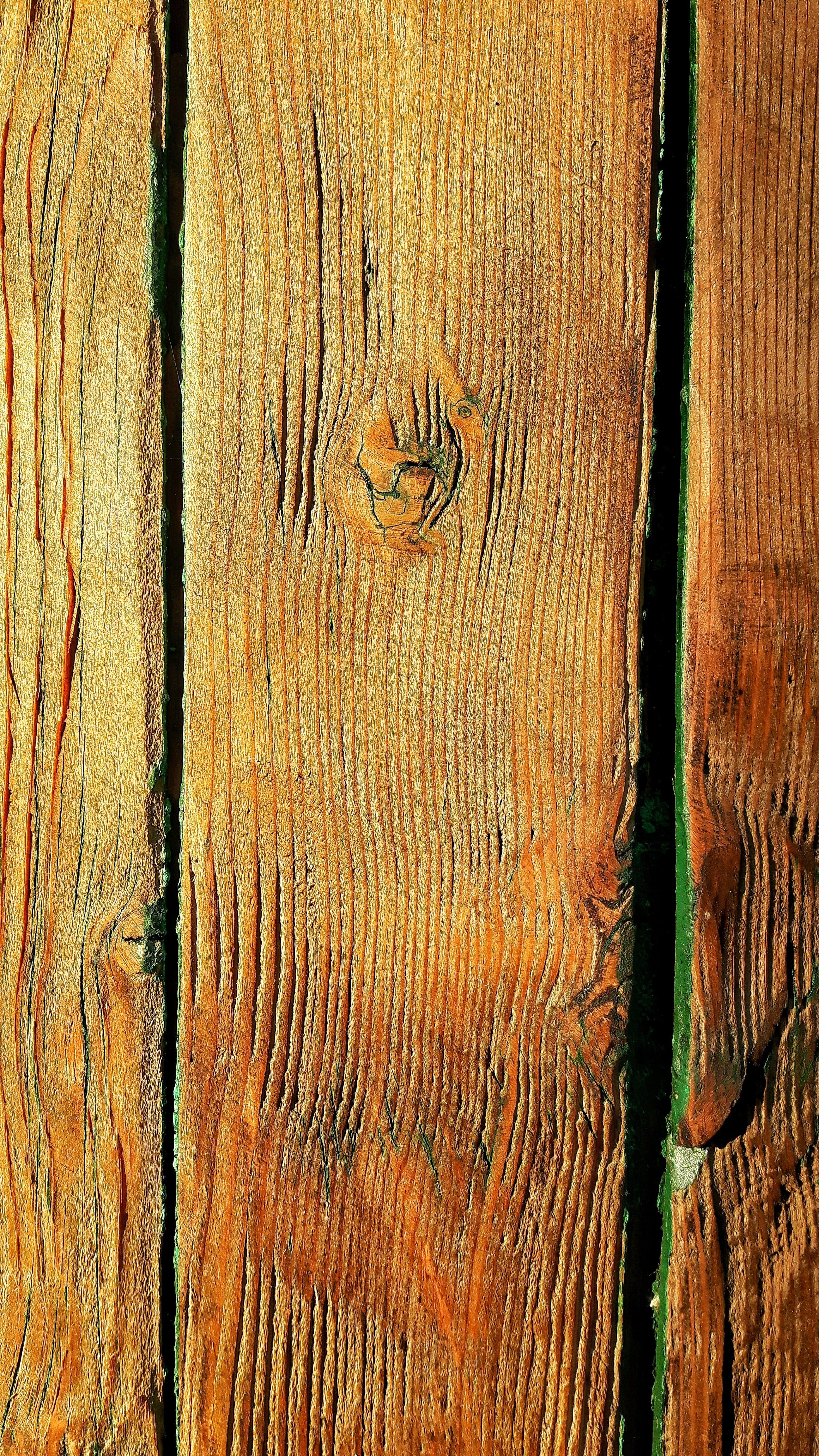 tree trunk, texture, outdoors, 4K, natural pattern, day, no people, tree ring, node, axis, backgrounds, door, wood - material, old, full frame, close-up, Phone HD Wallpaper
