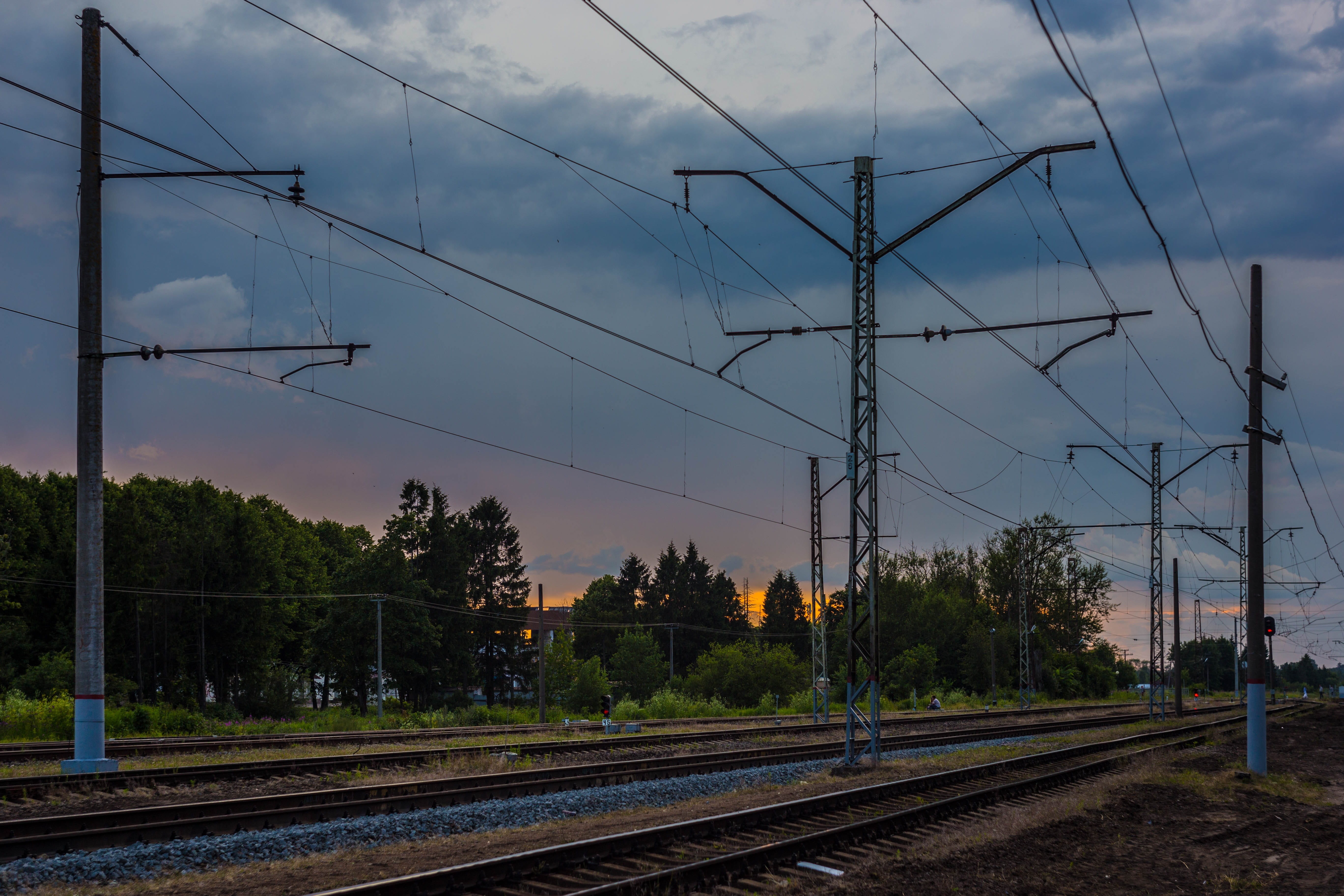sleepers, power line, tree, rail transportation, technology, forest, transportation, fuel and power generation, wire, motion, connection, complexity, composition, HD Wallpaper