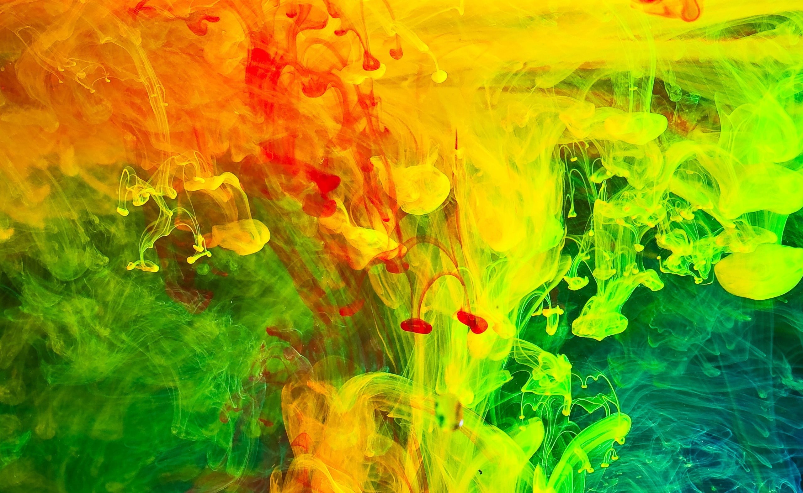full frame, green color, Colorful, Abstract, studio shot, yellow, nature, creativity, Aero, Background, red, Colored, choice, smoke - physical structure, HD Wallpaper
