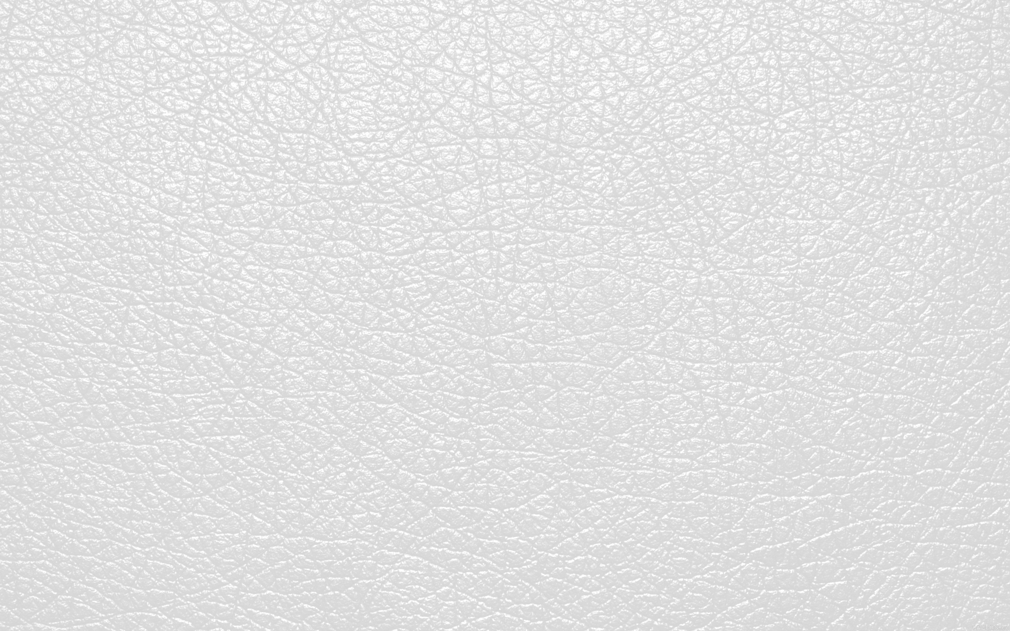 4K, white background, leather, skin, full frame, backgrounds, textured effect, copy space, indoors, no people, macro, abstract, white color, extreme close-up, HD Wallpaper