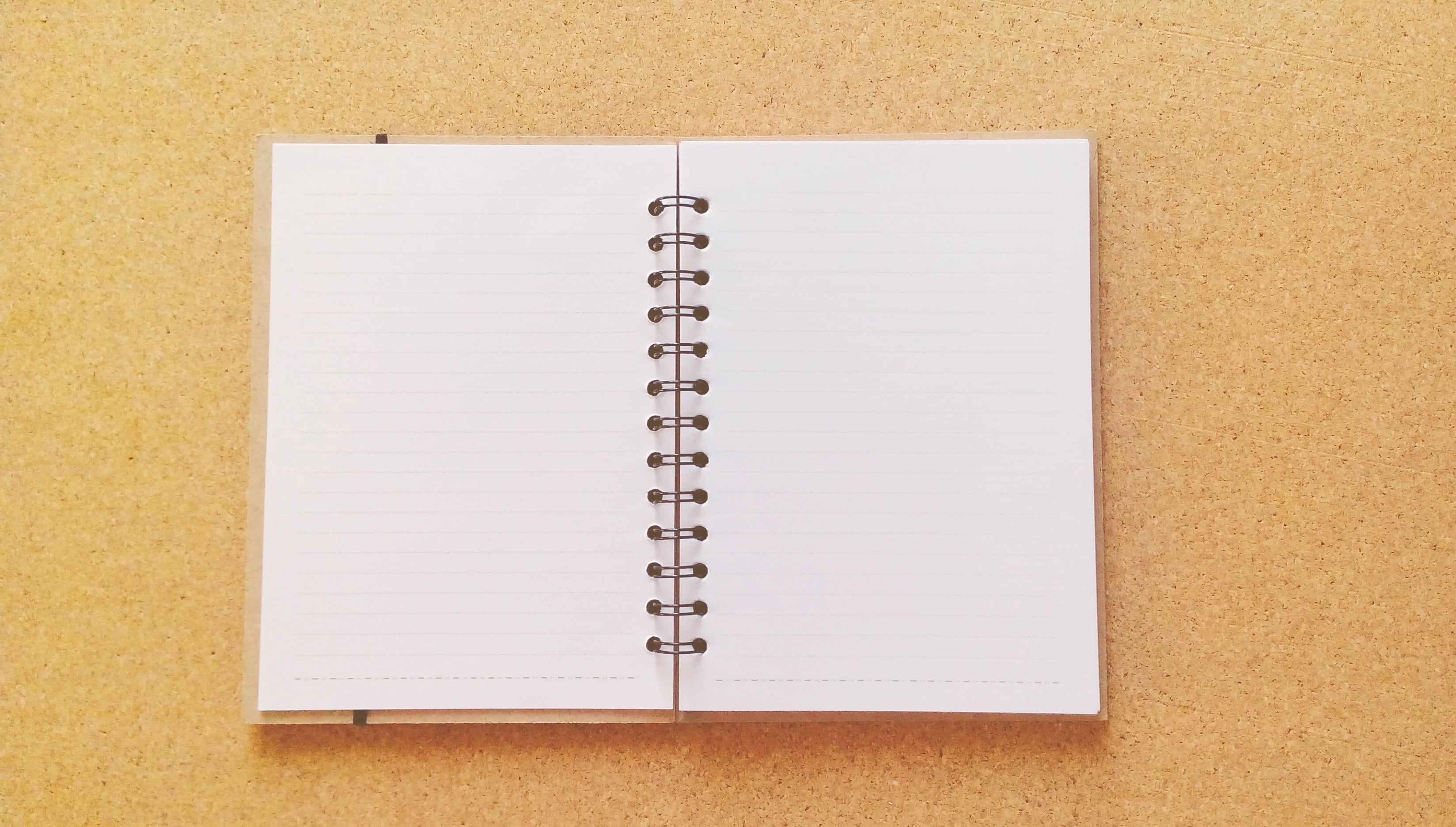 spiral notebook, document, directly above, to write, open, reminder, work, education, publication, no people, studio shot, book, white, card, close-up, HD Wallpaper