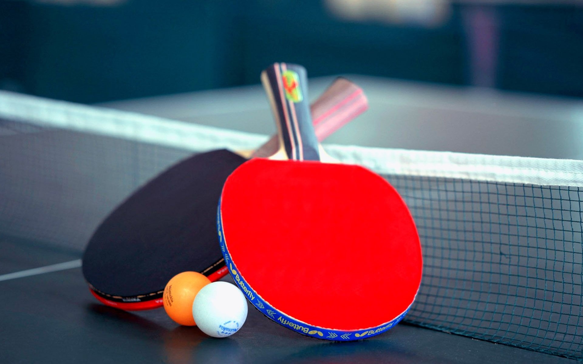 group of objects, still life, black, ball, holiday, blue, table tennis, ping, white, focus on foreground, racket, no people, food, sports equipment, sport, HD Wallpaper