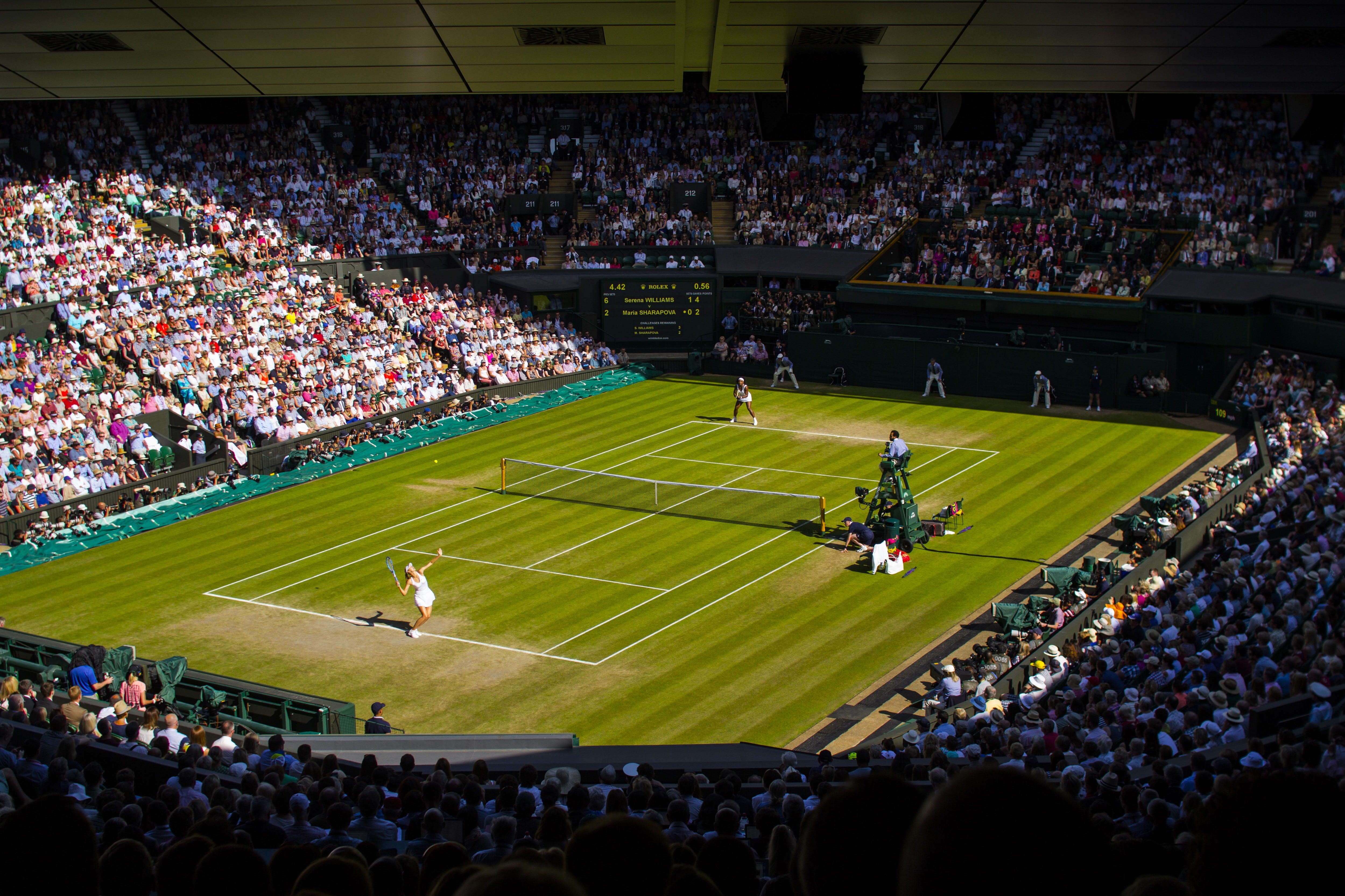 men, grass, match - sport, group of people, team sport, day, tennis, centre court, audience, leisure activity, people, playing, athlete, women, stadium, HD Wallpaper