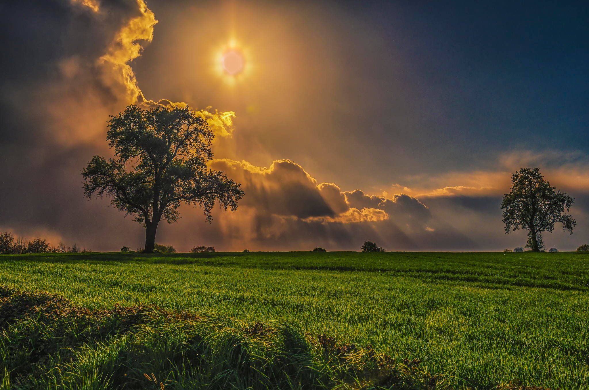 sunbeam, plant, growth, forest, leaf, cloud - Sky, backgrounds, weather, trees, beauty In Nature, sunrise - Dawn, environment, 1080P, tranquility, field, HD Wallpaper