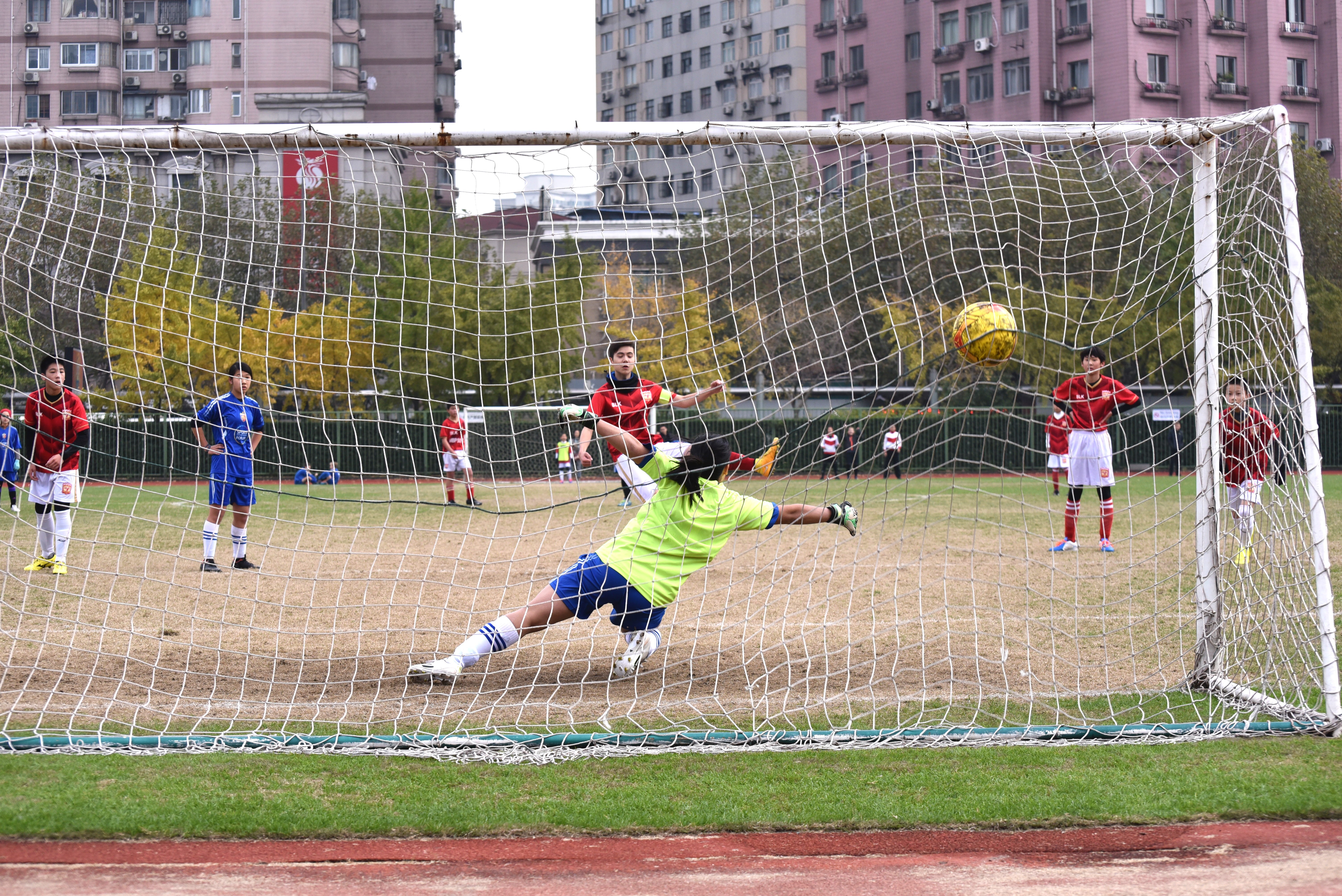 athletes, team sport, soccer field, net - sports equipment, league, 5K, motion, ball, plant, training, sports equipment, kids, group of people, play, athlete, HD Wallpaper