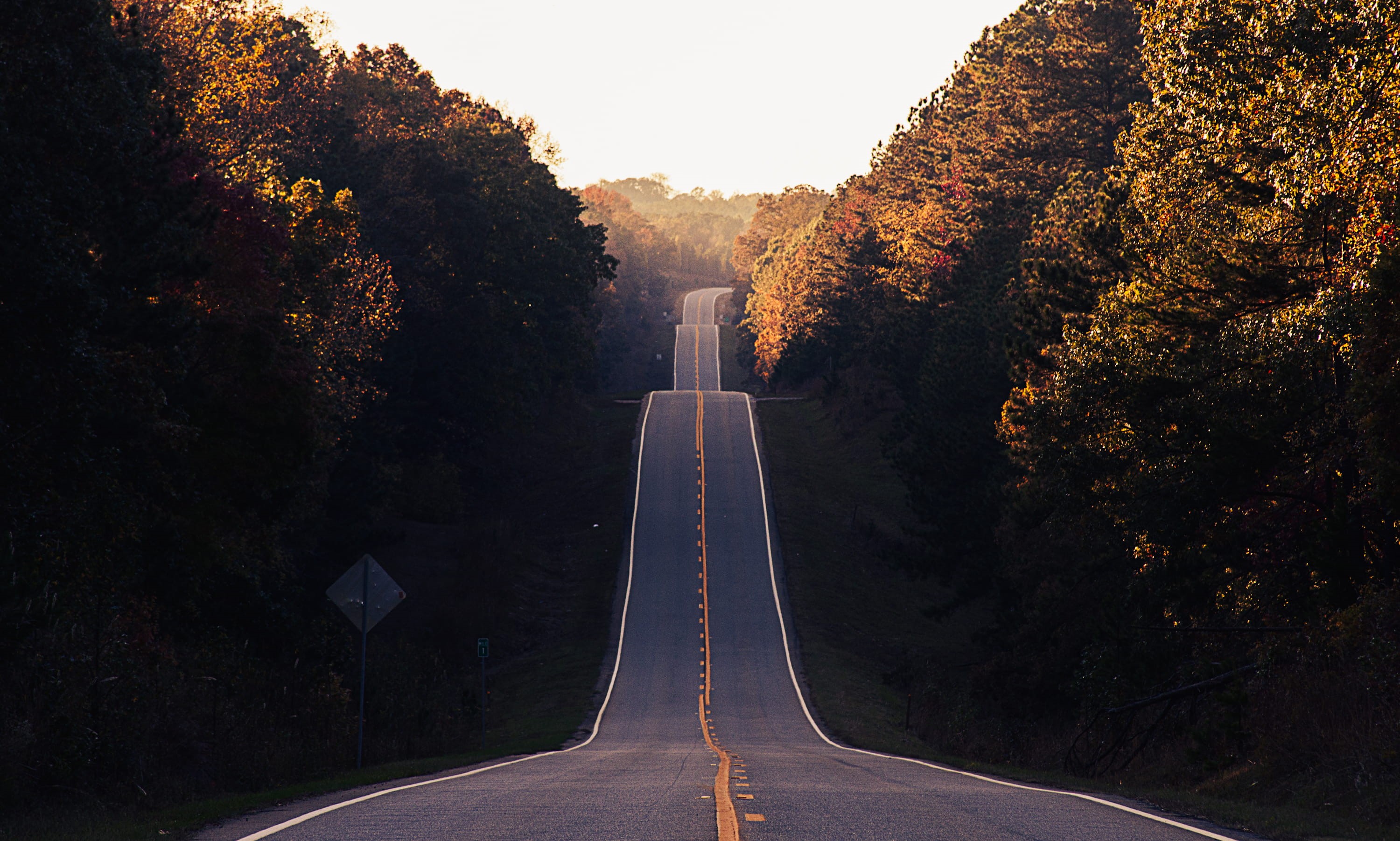 outdoors, sign, trees, road, transportation, beauty in nature, hill, surrounded, travel, pavement, diminishing perspective, golden, marking, green, fall, HD Wallpaper