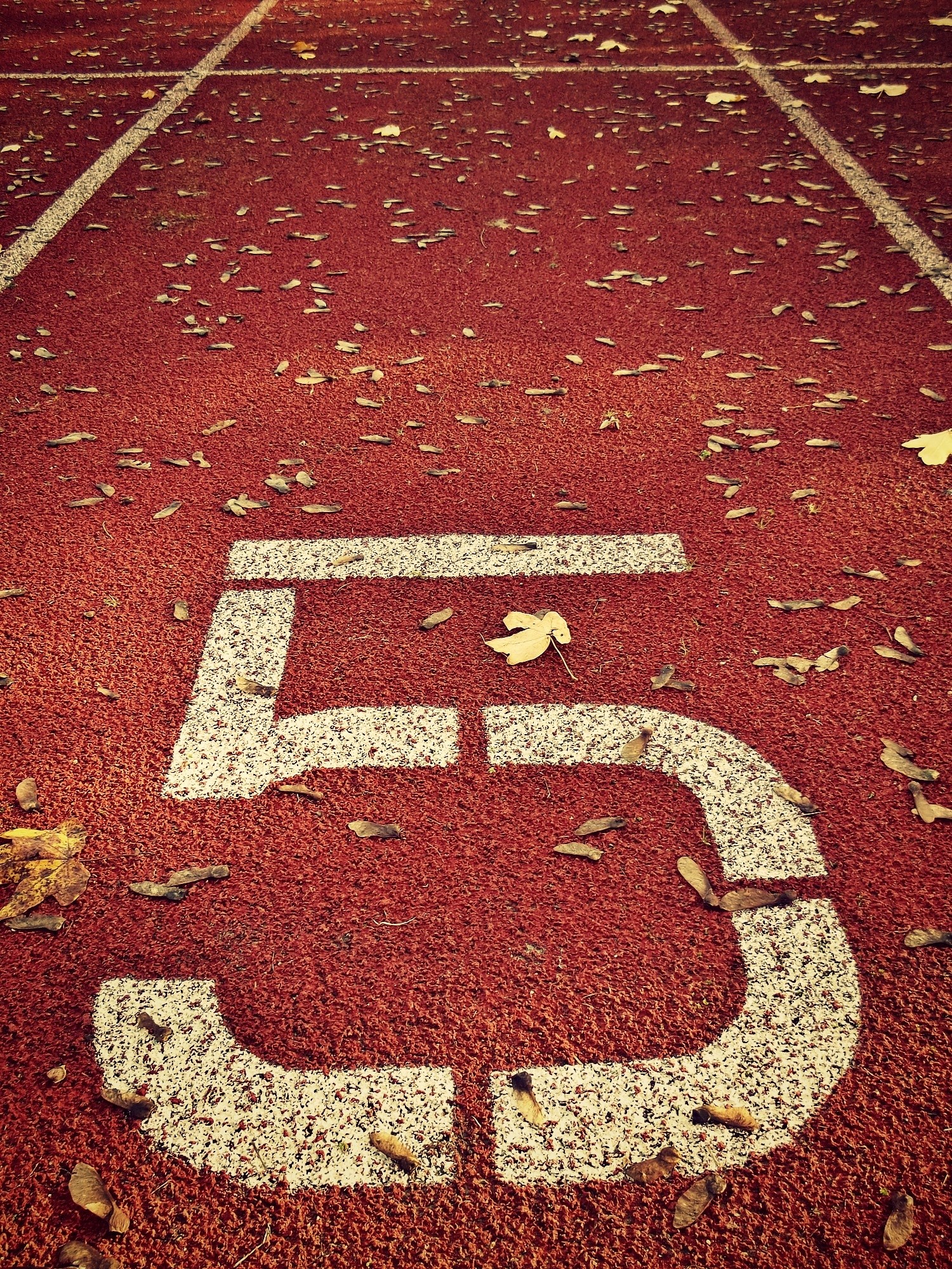 high angle view, championship, marking, direction, running sports, white color, sprint, red, number, run, endurance, cinder, transportation, communication, Phone HD Wallpaper