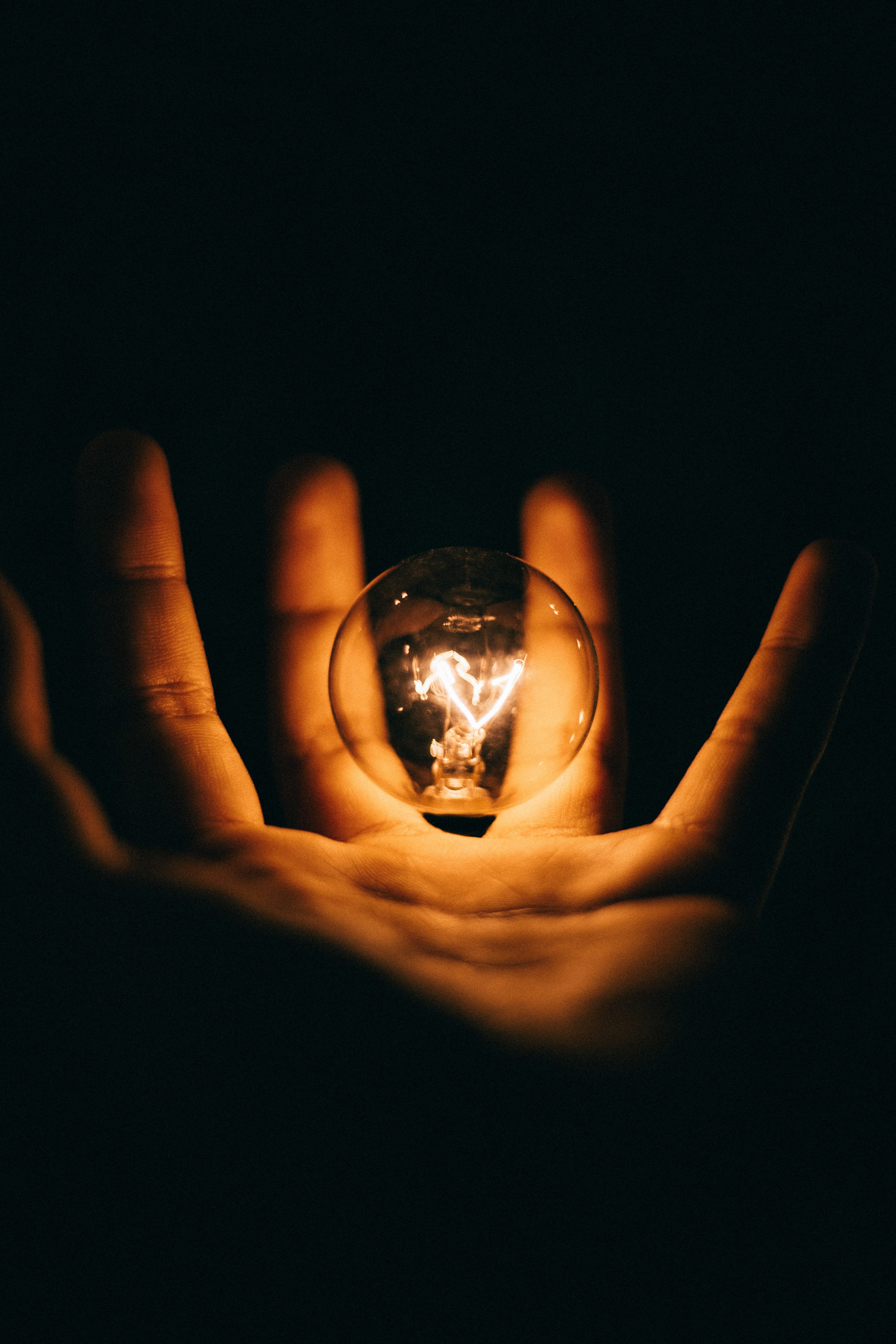 night, human finger, contemplation, black background, lightbulb, sphere, glow, indoors, palm, holding, glass, dark, forecasting, human, filament, glowing, Phone HD Wallpaper