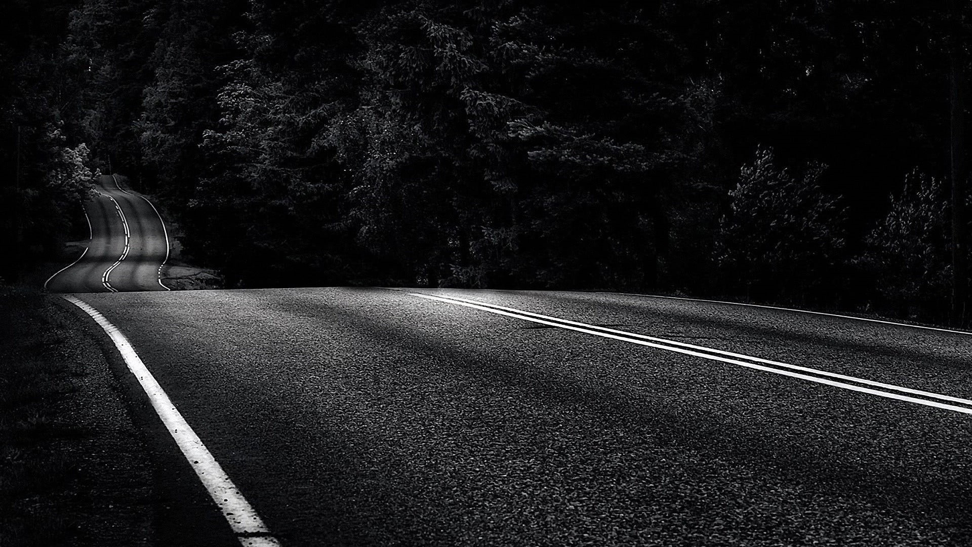 outdoors, marking, nature, curve, asphalt, plant, city, empty road, road marking, tree, street, dividing line, road, long, day, empty, no people, 1080P, HD Wallpaper