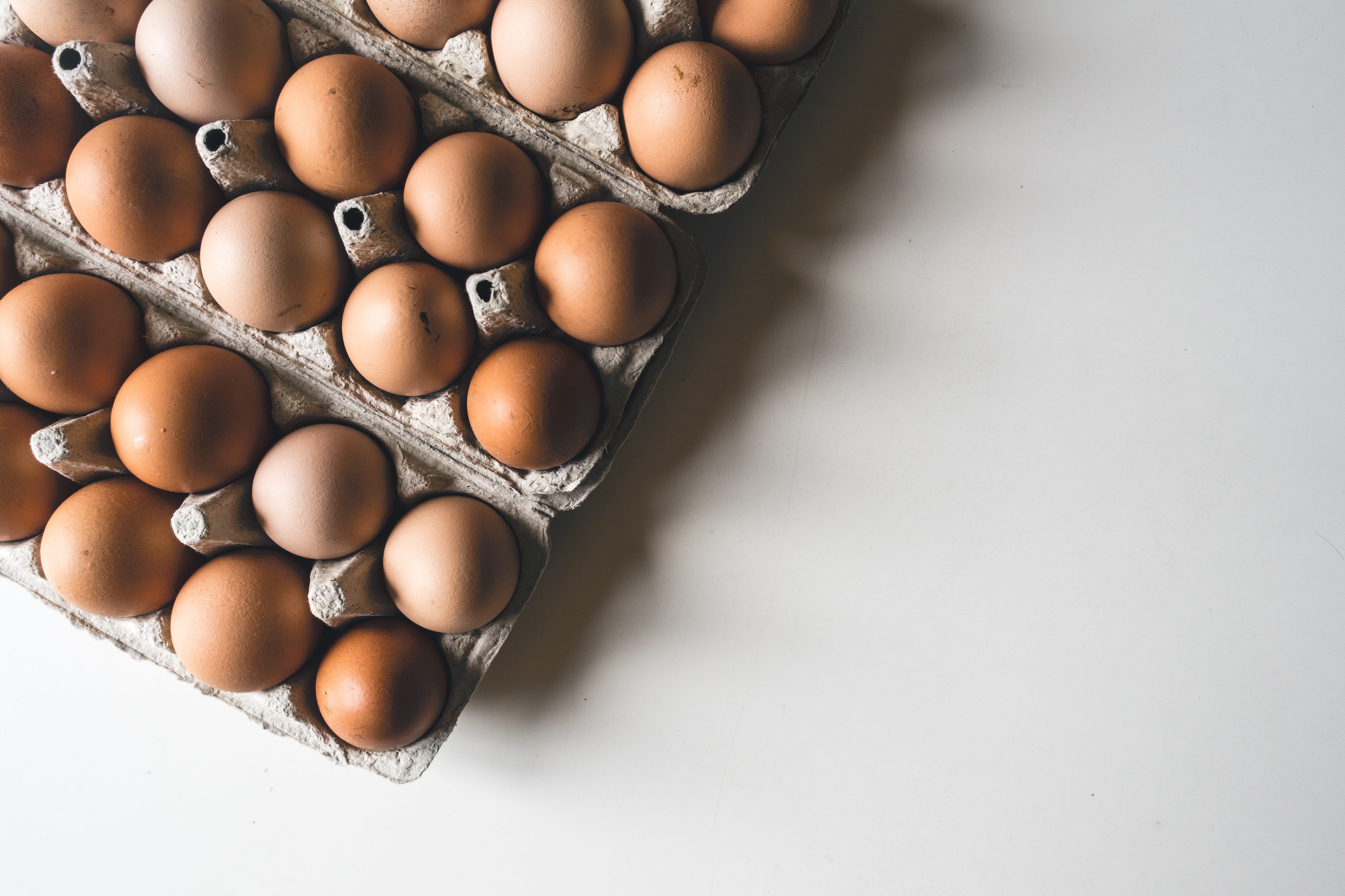 shadow, raw food, fragility, brown, studio shot, indoors, high angle view, carton, egg carton, freshness, healthy eating, egg, Eggs, white background, 5K, HD Wallpaper