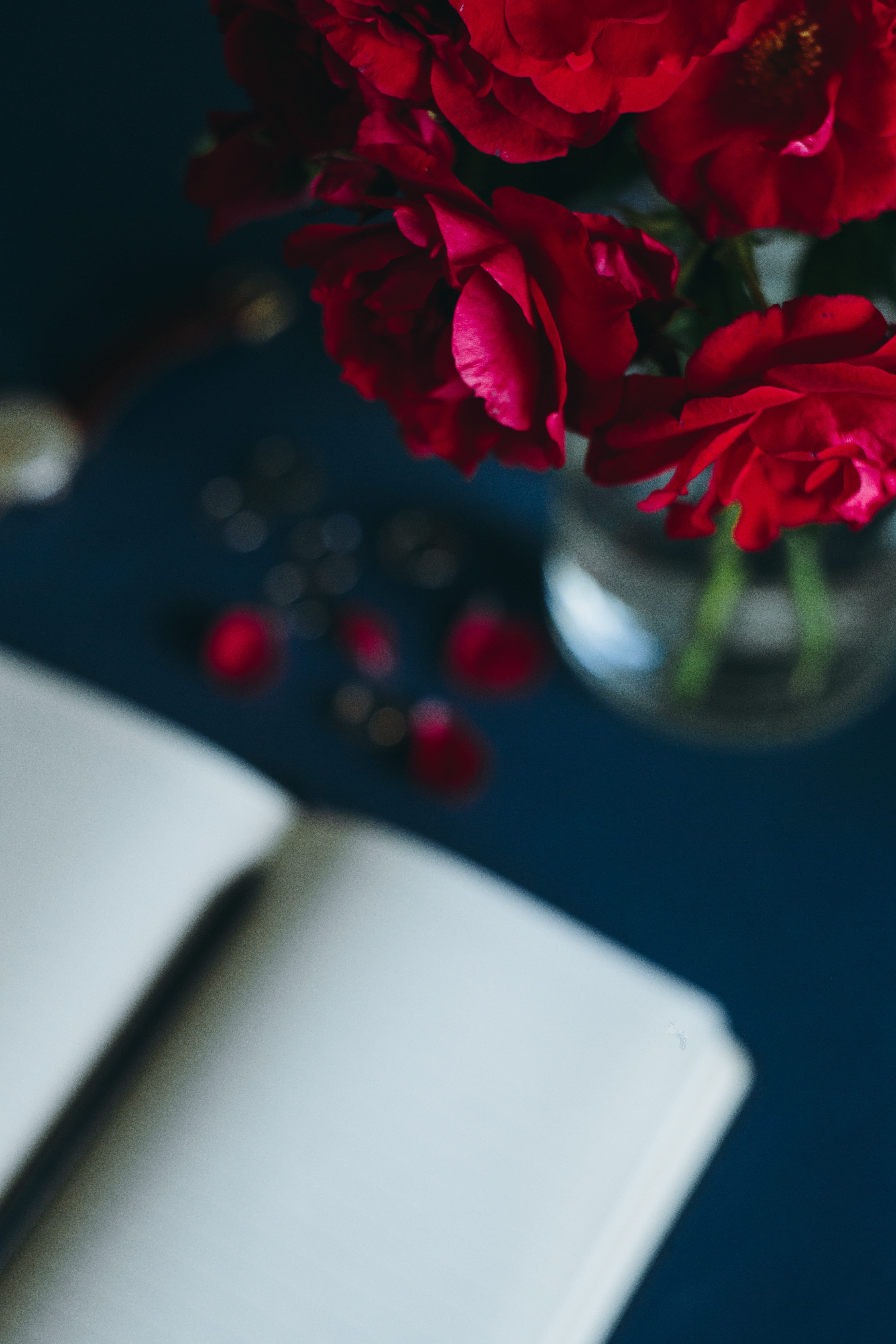 red, lovely, flower, freshness, vase, cute, plant, nature, bouquet, flower arrangement, flower head, beauty in nature, high angle view, close-up, female, Phone HD Wallpaper