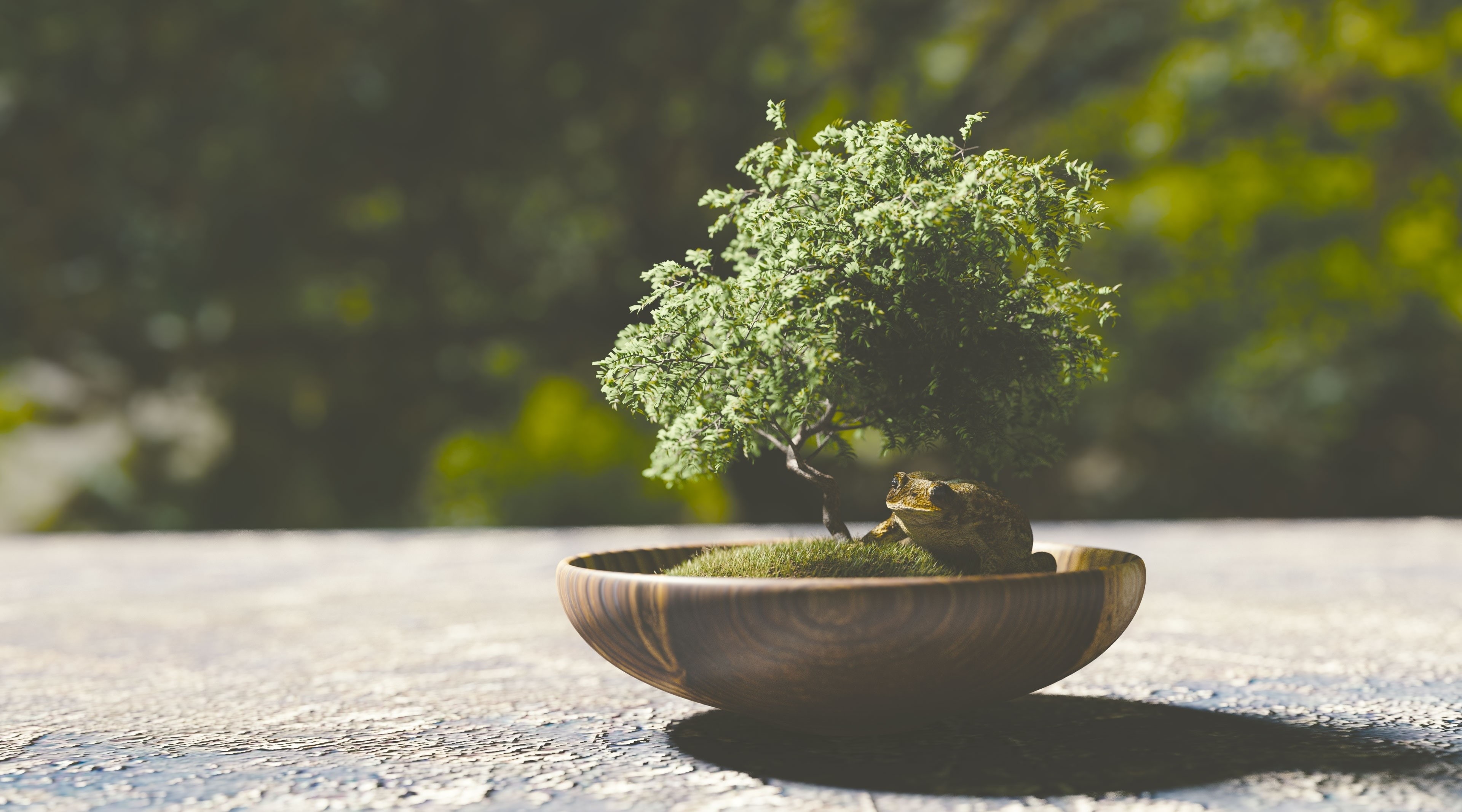 freshness, bonsai tree, flower pot, Artistic, three-dimensional, 4K, plant part, focus on foreground, nature, 3DArt, 3DComputerGraphics, no people, selective focus, HD Wallpaper